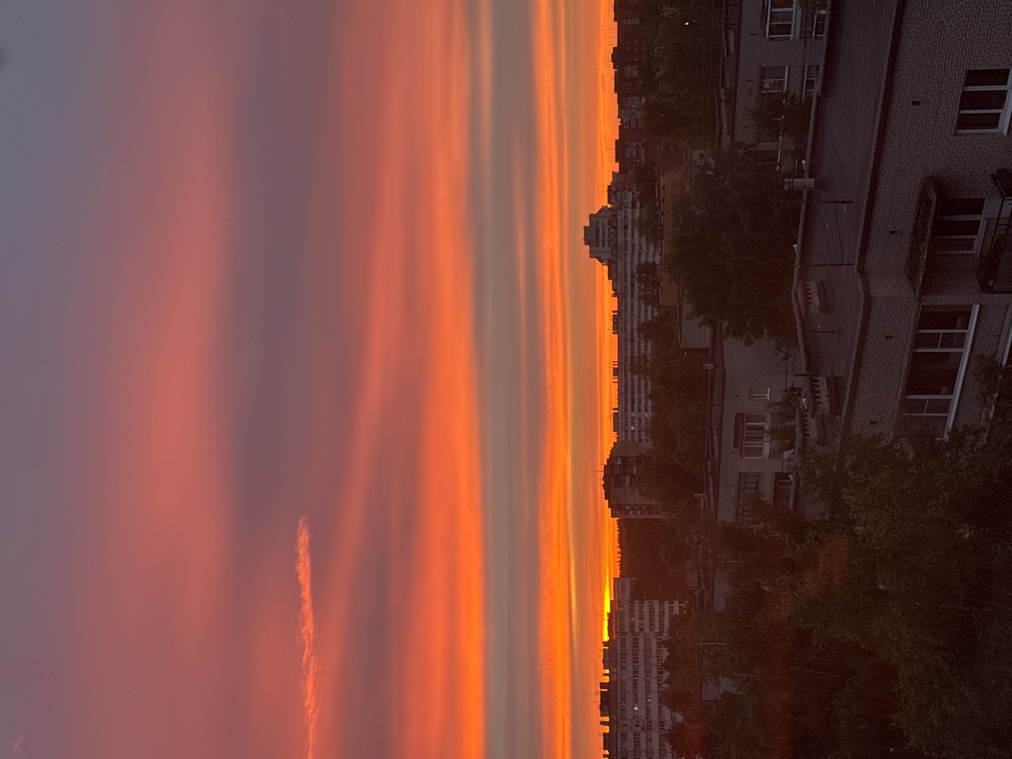 The image captures a vibrant sunset over the city of Sosnoviy Bor, Russia. The sky is a dramatic display of color, with horizontal bands of deep orange, fiery red, and soft pink transitioning into a dusky purple at the top. A few thin, wispy clouds are visible, catching the light and adding texture to the sky.
Below the colorful sky, the silhouettes of buildings and trees form the city's skyline. Several multi-story apartment buildings are prominent, some appearing to be panel buildings typical of Soviet-era architecture, while others have more modern facades. A distinctive, stepped pyramid-like building stands out among the others. The trees are dark and lush, indicating a summertime setting. The overall impression is one of urban life bathed in the warm, fading light of a setting sun. There are no people visible in the image.