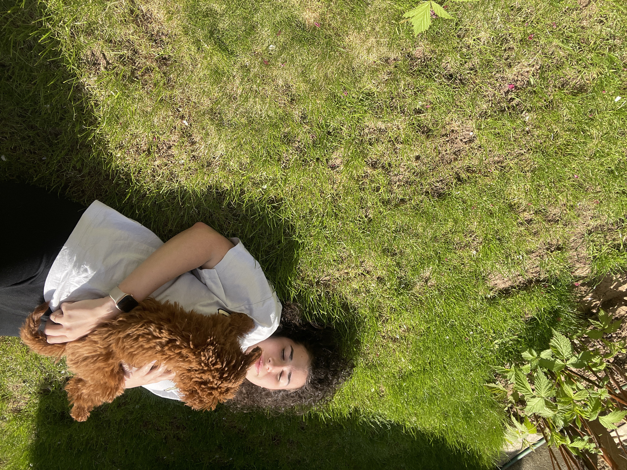 An overhead shot captures a young woman lying on her back on a sun-drenched grassy patch in Sofia, Bulgaria. She has dark, curly hair spread around her head and is wearing a light-colored short-sleeved top and dark pants. Her eyes are closed, and a subtle, peaceful smile is visible on her face, conveying a sense of relaxation or contentment. A light-colored smartwatch is on her left wrist.
Cradled gently in her arms, resting on her chest, is a small, fluffy, reddish-brown dog, likely a puppy with curly fur. The woman's hands are placed around the dog, suggesting an affectionate and close bond. The scene depicts a serene moment of outdoor relaxation and companionship between the woman and her pet.
The grass is bright green in many areas, but parts appear drier with patches of soil visible underneath. Strong, defined shadows are cast by the subjects, indicating bright, direct sunlight, suggesting it is a clear, sunny day, likely during the mid-morning or afternoon. A plant with green leaves, possibly a berry bush, is visible in the bottom right corner of the frame. There is no visible text in the image.