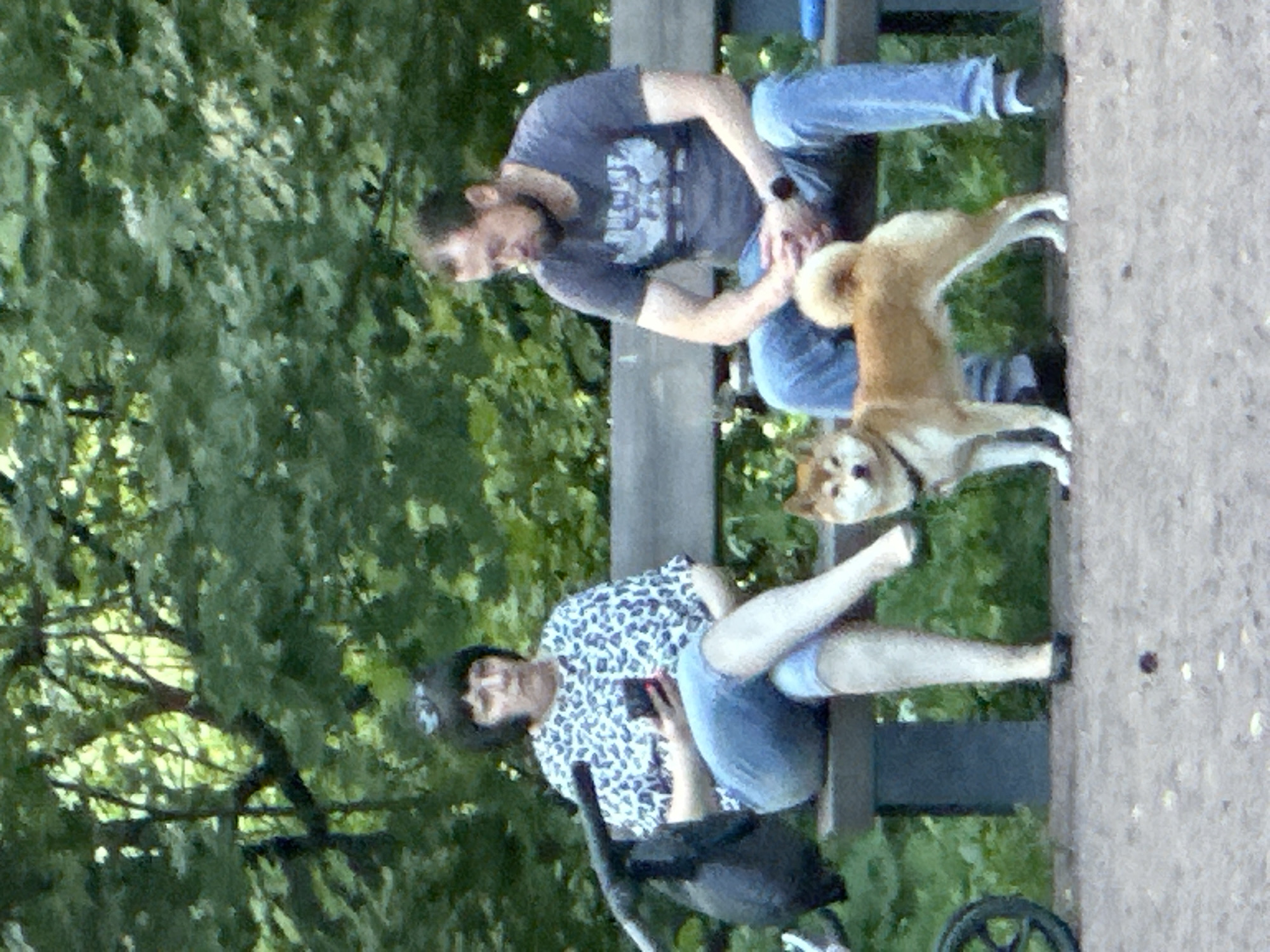A woman and a man are sitting on a park bench in Lukovnya, Russia. The woman, on the left, is wearing a black and white leopard print shirt and blue capris. She is holding a phone in her left hand and has her legs crossed. A black bag is hanging on a stroller behind her. The man, on the right, is wearing a dark grey t-shirt with a graphic and blue jeans. He has a beard and is looking down with his hands clasped. A shiba inu dog stands in front of the bench, between the two people. The bench is made of wood and metal. The background consists of lush green trees and foliage. The ground in front of the bench is covered with gravel and scattered leaves.