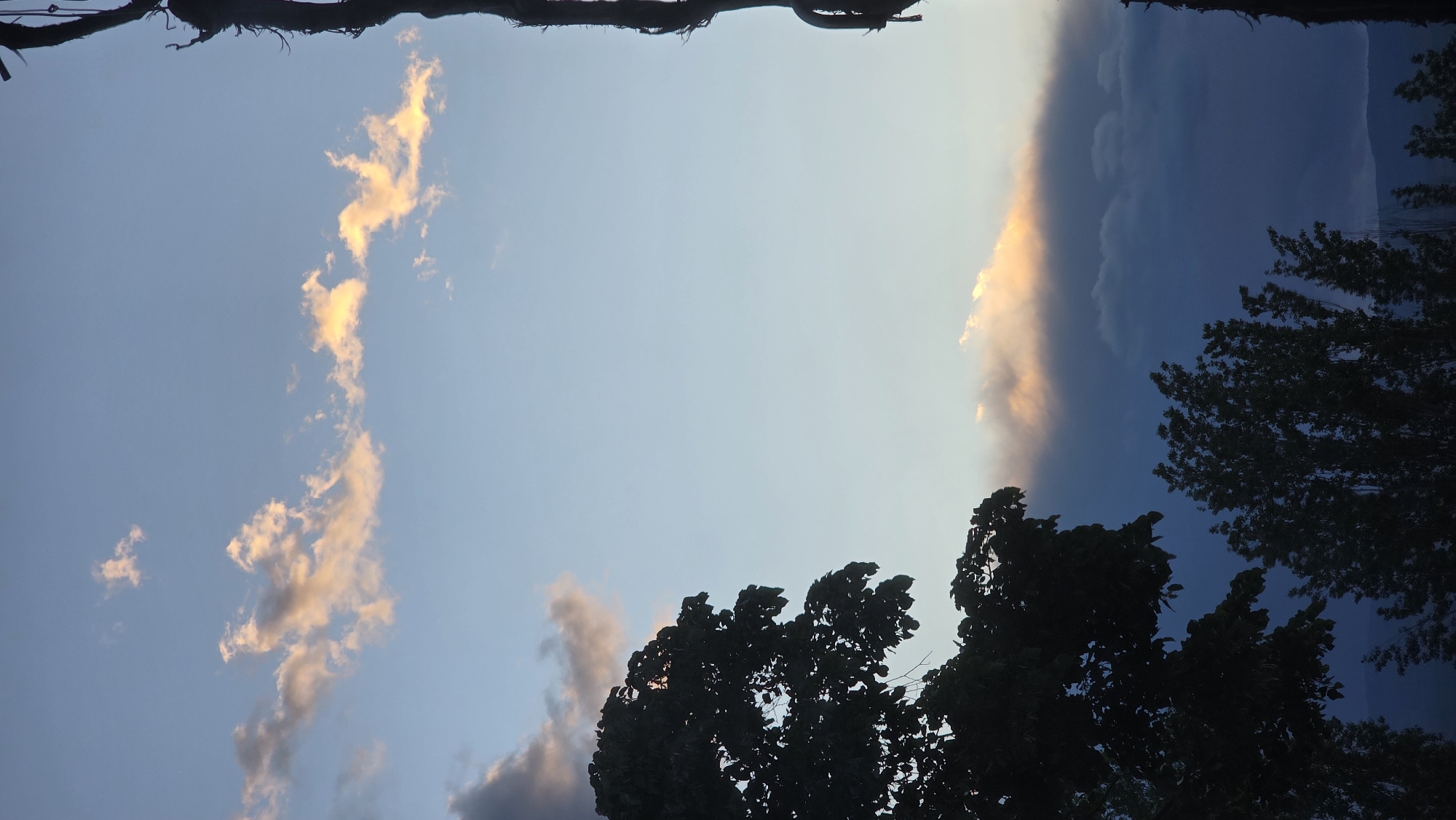 The image captures a sky view framed by dark tree branches at the top and foreground silhouettes of trees. The sky transitions from light blue to dark blue/grey on the right. On the left, there are scattered, light pink clouds, while the right features a vertical band of brighter, pinkish clouds. It appears to be an outdoor scene, possibly taken in a park or a garden in Blagoevgrad, Bulgaria, but there are no specific identifying landmarks to confirm the location within the city. No people or interactions are visible. The environment is predominantly focused on the natural elements of the sky and trees.