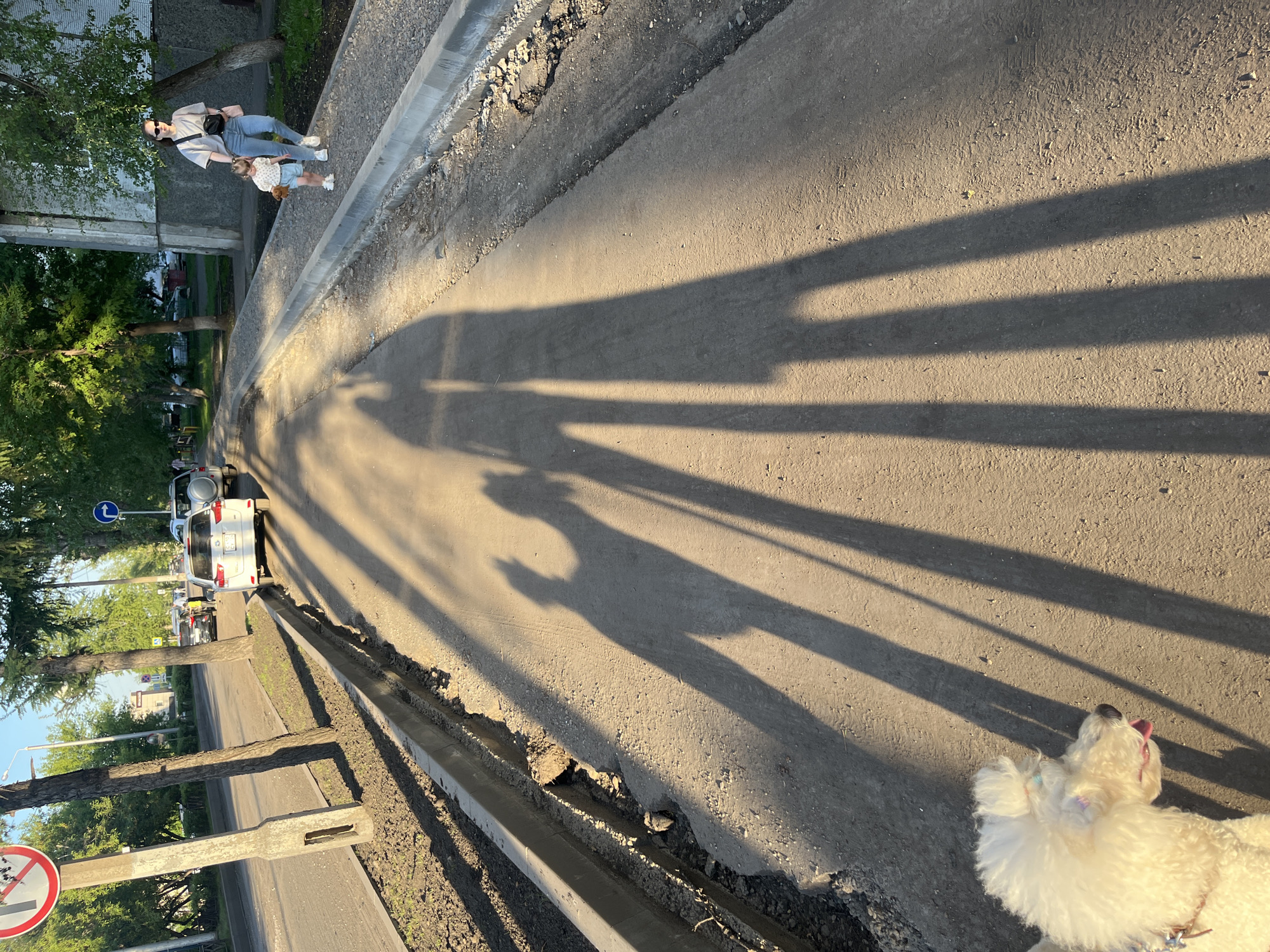 The image captures a sunlit street scene in Krasnoyarsk, Russia, likely during early morning or late afternoon, as indicated by the long, distinct shadows cast across the asphalt.
In the foreground, partially visible on the right, is a fluffy white dog with its tongue playfully sticking out, looking upwards. It has small colorful bands adorning its fur near its ears.
Further along the path, an adult woman wearing sunglasses, a light t-shirt, and jeans, carrying a crossbody bag, walks alongside a young child dressed in a light patterned top and shorts. The child appears to be holding a small brown object. Their shadows, along with other tall, elongated shadows, stretch across the dusty grey asphalt surface.
The street features a curb line, part of which appears to be under construction or in disrepair, with exposed dirt and gravel visible along the edge. On the left side of the road, several cars are parked, including a white SUV whose license plate is partially visible. Trees line the road, and buildings can be seen in the background.
Two traffic signs are visible: a blue circular sign with a white arrow indicating a mandatory right turn, and a red circular sign with a white bar depicting two figures (one adult, one pushing a stroller) crossed out, signifying "No pedestrians." This sign appears on a concrete post next to a tree. The overall atmosphere is that of a casual outdoor walk on a sunny day.