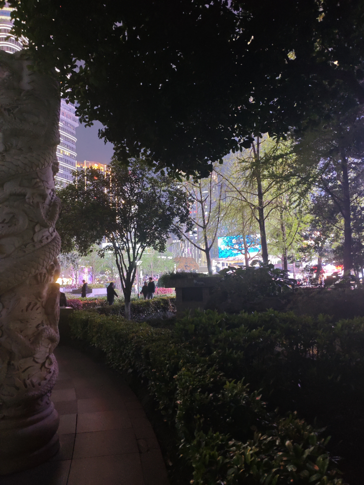 A nighttime photograph shows a park scene with a winding pathway in the Liangjiang New Area of Chongqing, China. On the left is a stone pillar carved with dragon motifs. The path leads to a central area with trees and shrubs. In the background, tall buildings are visible, one with illuminated white horizontal lines and another with a warm orange glow. A blue digital display screen is visible. The foreground is characterized by low-lying bushes and trees, and several people are walking around.