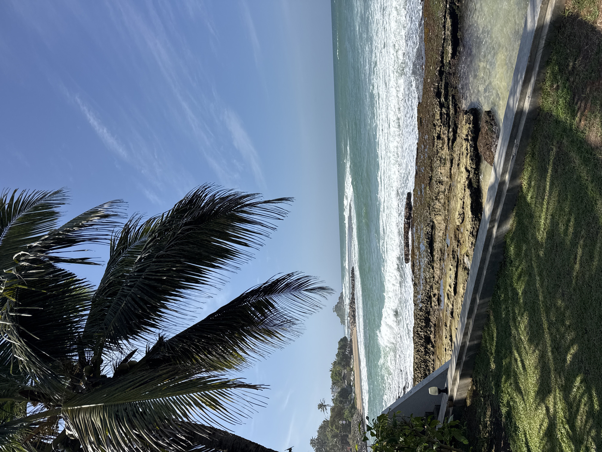 The image depicts a coastal scene in Goviyapana, Sri Lanka, on a bright, clear day. In the foreground, a lush green lawn is partially shaded by the fronds of a large palm tree, which dominates the left side of the frame. A concrete walkway with a low wall separates the lawn from the rocky shoreline. The rocky shore features tide pools and is directly met by the ocean. The sea is a vibrant turquoise, with white-capped waves breaking near the shore. In the middle ground, a sandy beach is visible, lined with palm trees and some buildings. A small, rocky island with vegetation sits offshore in the distance. The sky is a brilliant blue with thin, wispy clouds. There are no people or animals visible in the image.