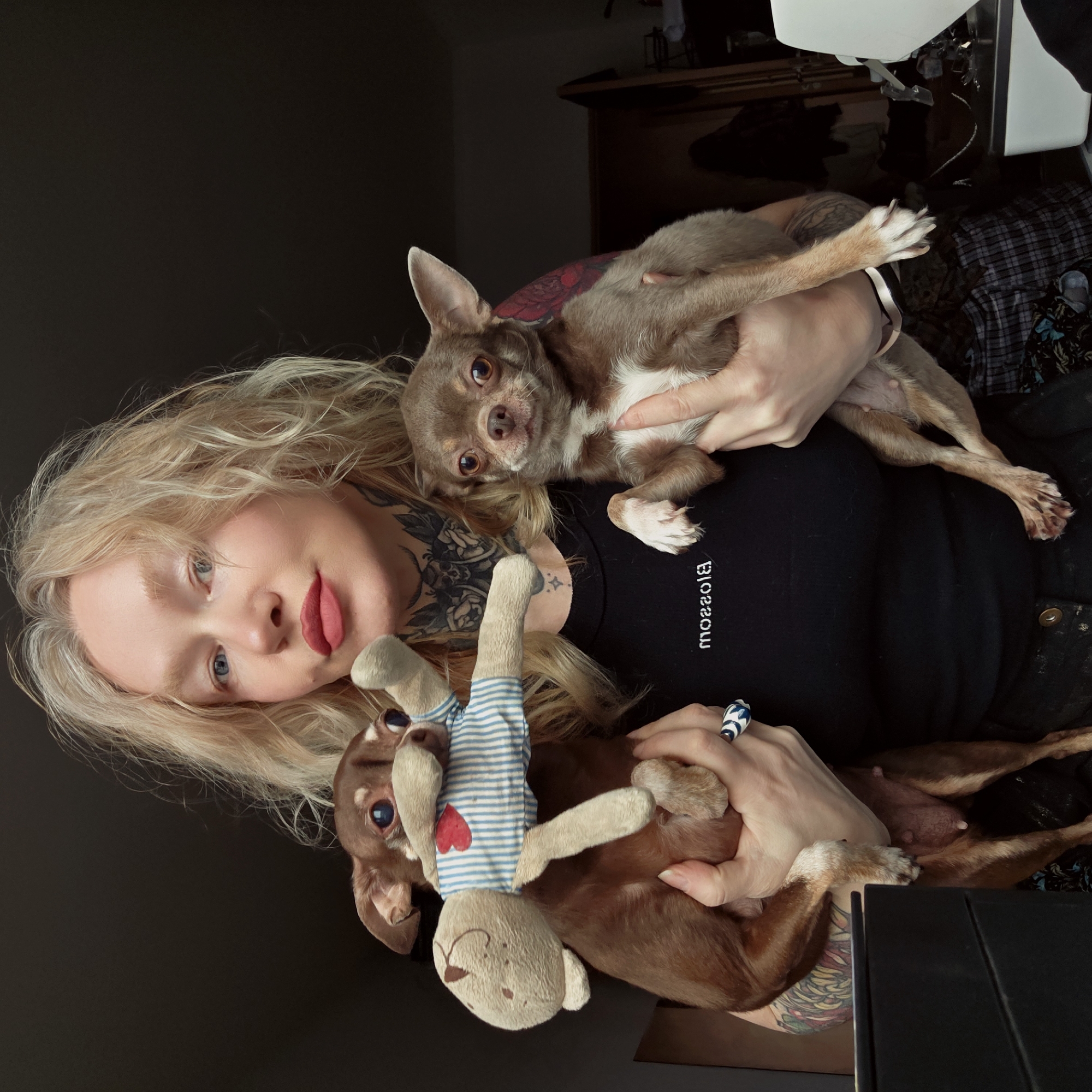 A light-skinned person with blonde hair, tattoos on their neck and arms, and pink lipstick is holding two brown Chihuahua dogs and a stuffed bear toy. The person is wearing a black shirt with white writing. One dog is lying across the person's shoulder, and the other is being held near a stuffed bear toy. The background is dark and includes a glimpse of a wooden cabinet and a white lamp. The location cannot be definitively determined as Saint Petersburg, Russia from the visual information provided.