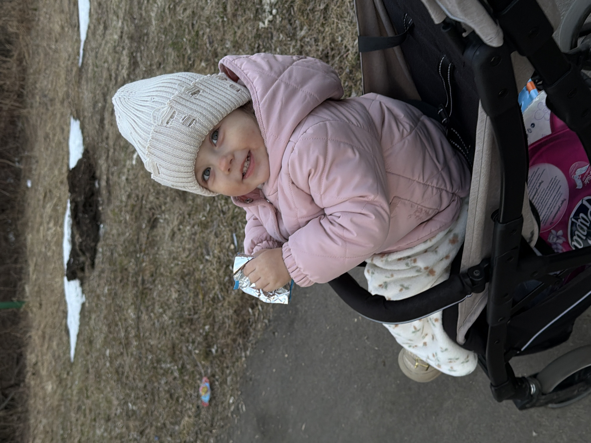 A young child in a pink puffy jacket and white knit hat sits in a stroller, holding a silver packet. Patches of snow remain on the brown grass and bare ground nearby. The scene appears to be outdoors in a park or natural area. The precise location in Reshetnikovo, Russia cannot be determined from the visual information available in the image.