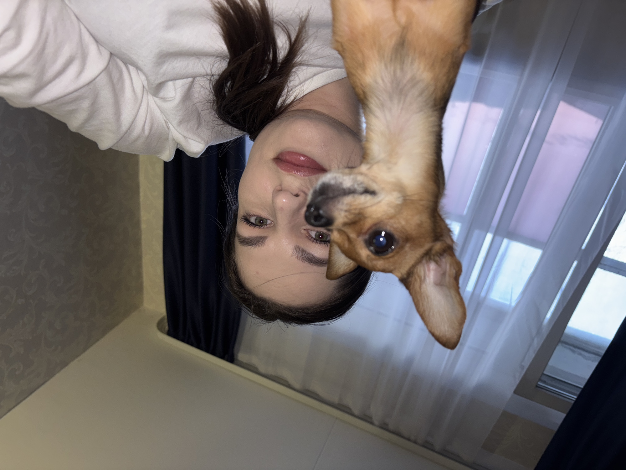 This indoor portrait features a young woman and a small, light brown dog, captured in a rotated orientation. If viewed upright, the scene depicts the woman and dog looking directly towards the camera, suggesting a selfie or close-up shot while they are likely lying down or resting. The woman, positioned on the left side of the frame (when upright), has long dark hair, light-colored eyes, and wears a white long-sleeved top. Her expression is calm with slightly tinted lips. To her right, a small, short-haired dog with tan fur, dark round eyes, and pointed ears is also looking forward. The background shows a room interior: a light-colored wall with a subtle patterned wallpaper is on the left, and a window with sheer white curtains or blinds, flanked by dark blue curtains, is on the right. The lighting is diffuse, indicative of daytime. The image conveys a peaceful, companionable moment in a residential setting in Chaikovsky, Russia. No text is visible.