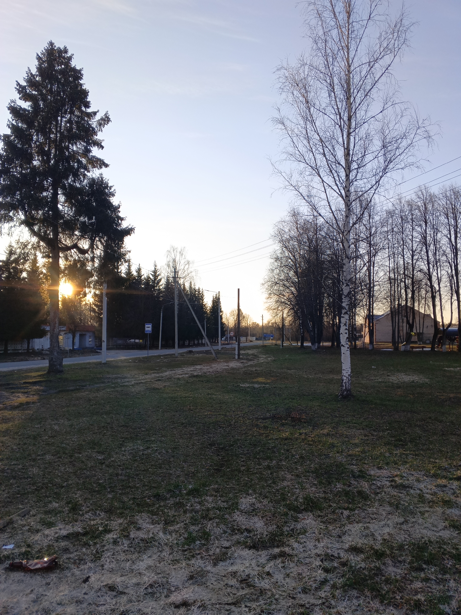 The image depicts an outdoor scene in the city of Красный Маяк, Russia, at dusk or dawn. In the foreground is a grassy area covered with frost or light snow. Two prominent trees dominate the scene: a large evergreen on the left, partially obscuring the rising or setting sun, and a bare birch tree on the right. In the midground, a road runs parallel to the horizon, lined with utility poles and more trees. Buildings are visible in the background. The sky is light blue with hints of yellow.
