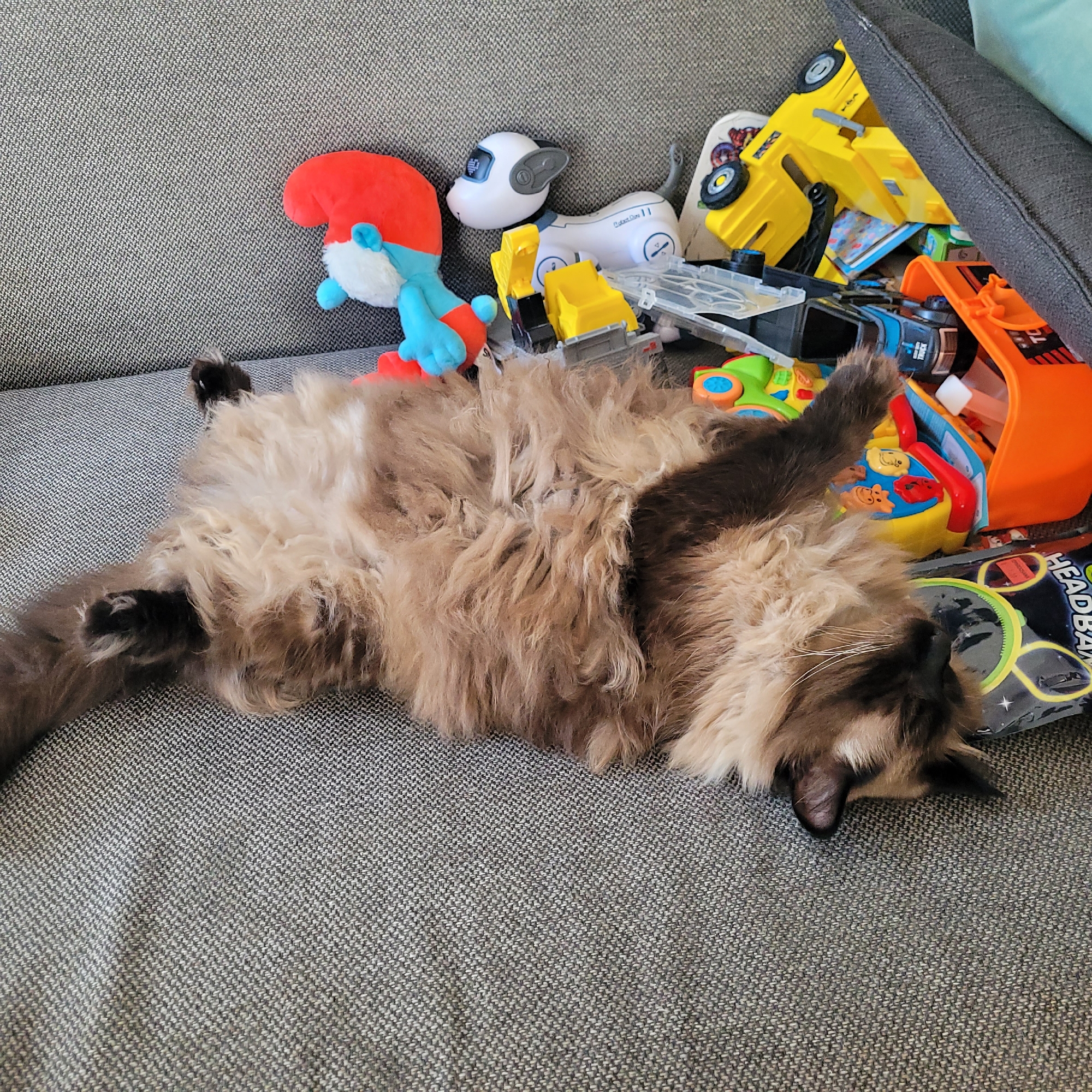 A fluffy, long-haired cat with brown and cream coloring is sleeping on its back on a grey, textured sofa. The cat's belly is exposed, and its paws are curled. Scattered around the cat are various children's toys, including a red and blue Smurf plush toy, a white robotic dog toy with a digital screen, a yellow toy dump truck, a green and yellow toy car, and an orange toy truck with a black and white design. A pair of black sunglasses with neon green lenses and the word "HEADBAND" printed on them is also visible. The scene takes place indoors, likely in a living room. The specific location in Jūrmala, Latvia cannot be determined from the image.