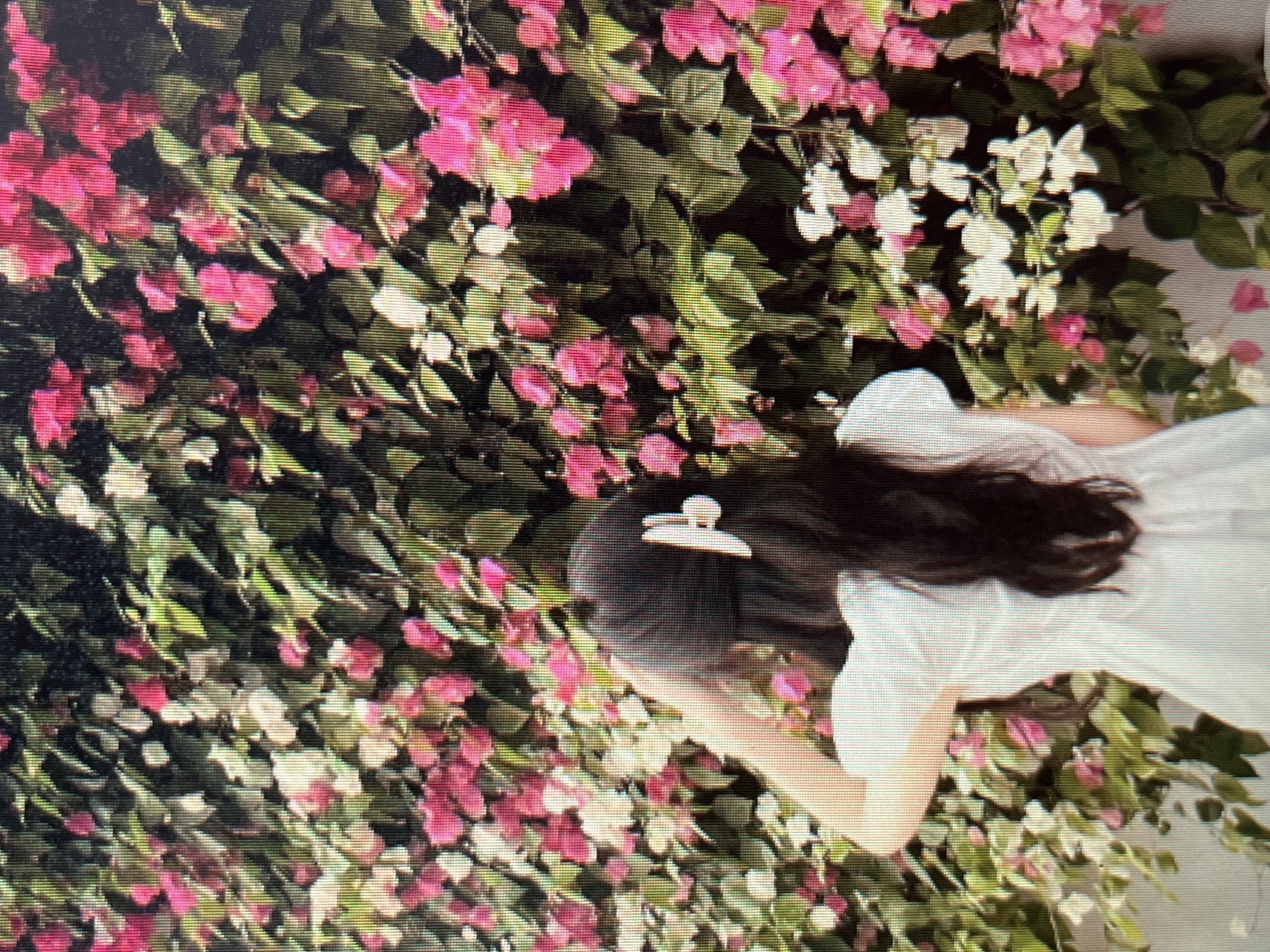 The image shows a young woman from behind, with her hand raised to her dark hair which is adorned with a white hair clip. She is wearing a white dress with short puff sleeves. She is standing in front of a dense wall of flowering bougainvillea, with vibrant pink and white blooms interspersed with green leaves. The background is lush and verdant, suggesting an outdoor setting in a warm climate. The overall impression is one of serene natural beauty. While the image itself does not provide specific location information, bougainvillea is commonly found in tropical and subtropical regions, making it plausible to be found in Sejahtera, Indonesia, known for its tropical climate and abundant flora.