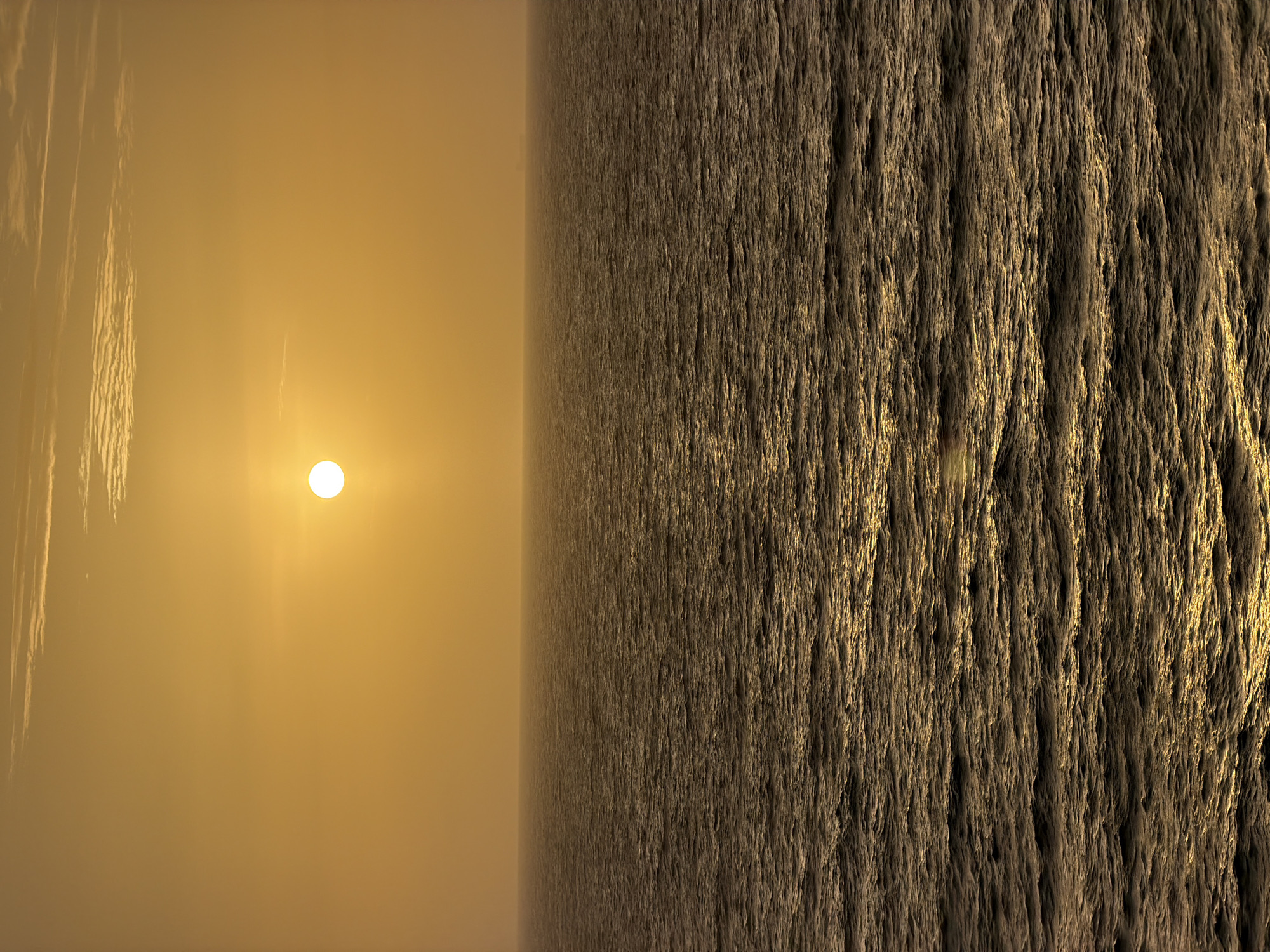 The image depicts a landscape with a distinct division between two contrasting environments. On the left, a hazy, yellow-tinted area features a bright sun in the center and faint, vertical streaks resembling clouds or contrails. The right side presents a detailed, vertically oriented texture that resembles a cliff face or a dense forest seen from a close vantage point. The texture is comprised of vertical striations with alternating light and dark areas, suggesting a rugged surface. The location is unspecified.