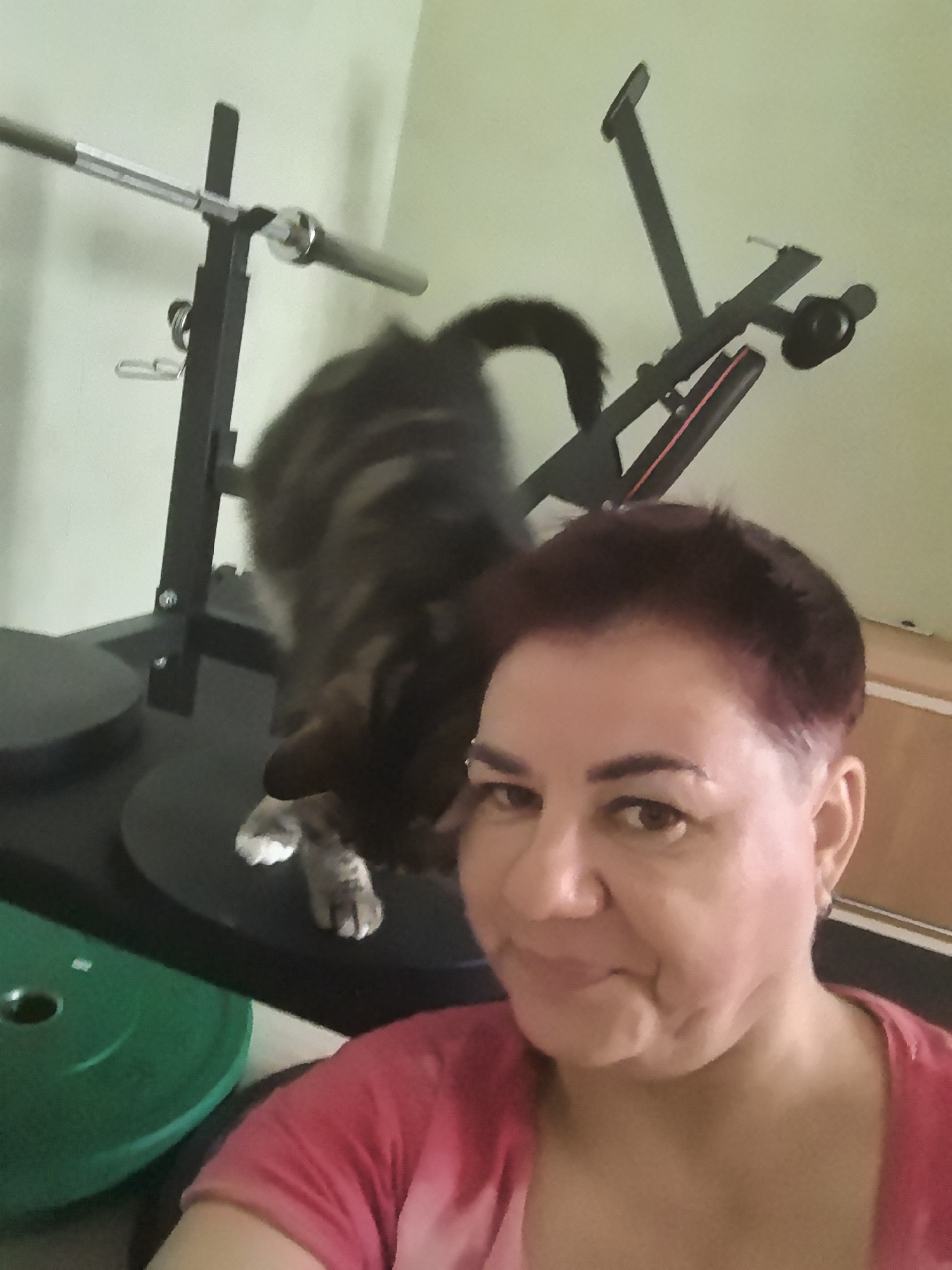 A selfie is taken from a low angle by a woman with short, dyed auburn hair and a nose piercing. She is wearing a pink t-shirt. Behind her, a cat with tabby markings is standing on gym equipment. The equipment includes a weight rack with a barbell and weight plates, and another piece of black gym equipment with red trim. The background is a light green wall, and a wooden cabinet is visible on the right. The scene appears to be in a home gym.