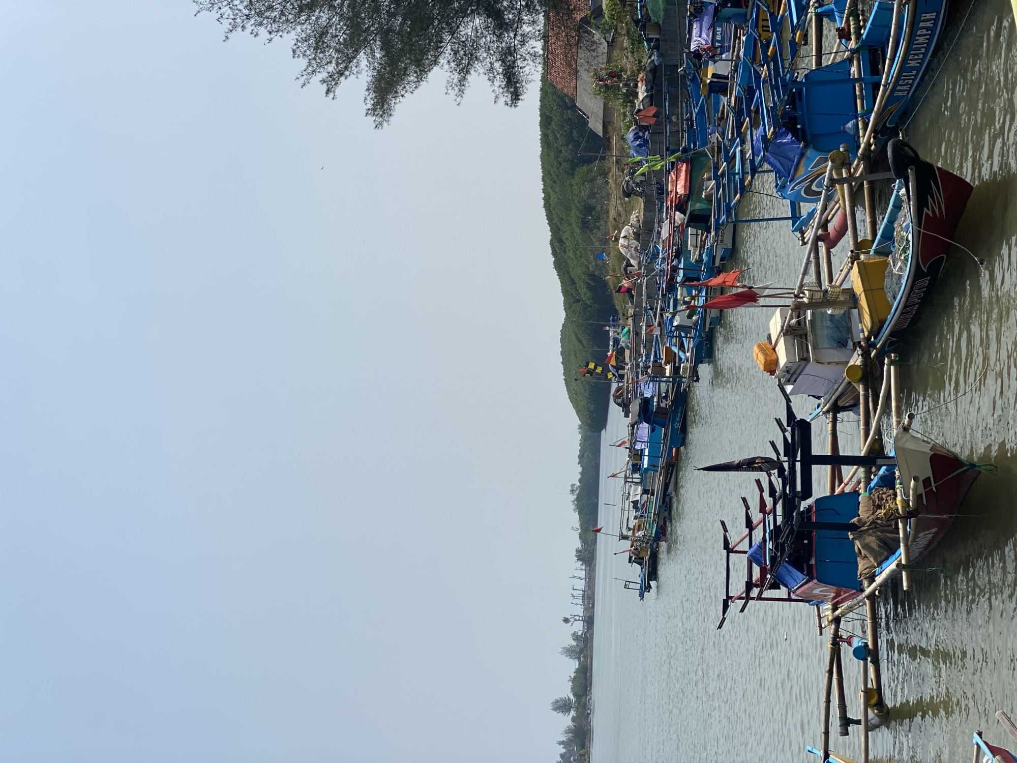 The image depicts a harbor in Ayah, Indonesia, filled with numerous fishing boats. The boats are docked in calm, murky water. The foreground features several smaller, colorful fishing vessels, some with intricate wooden structures. These boats are adorned with red and blue colors, and some have flags. In the background, a longer line of boats stretches along the shore. Beyond the boats, a dense green forest covers a hillside. On the shore, there are a few simple buildings with red tile roofs and piles of equipment or supplies. The sky is a pale, hazy blue, suggesting a bright but overcast or dusty day. The overall scene is one of a working fishing community.