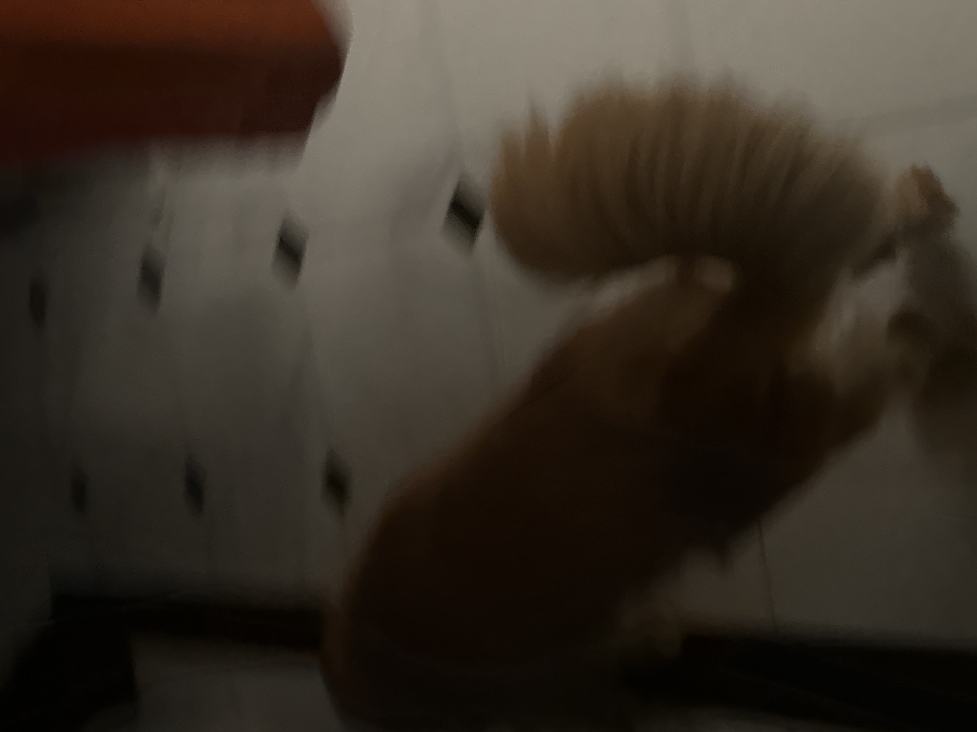 The image is a blurry, low-light photograph of a golden-colored dog's back and tail. The dog appears to be walking away from the camera. The tail is bushy and curled. The floor appears to be tiled with dark square accents. An out-of-focus orange object is visible in the upper right corner of the image. The scene is indoors, possibly in a residential setting, but the location within the city of Unknown is not specified.