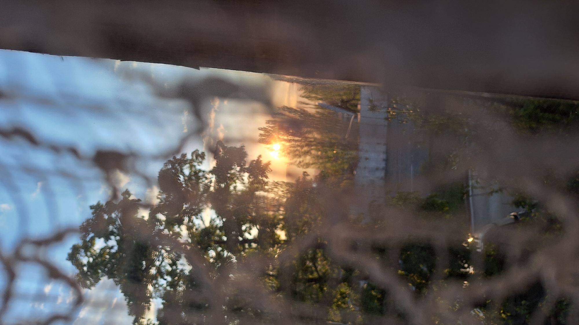 The image presents an outdoor scene viewed through a heavily blurred and patterned foreground, resembling a window screen or textured glass. The sun is prominently featured, appearing as a bright, intense golden orb positioned in the lower-middle portion of the upright frame, indicating either sunrise or sunset.
The sky transitions from a soft blue with scattered clouds in the upper-left area to warm orange and yellow tones surrounding the sun. Several trees with green foliage are visible, with their branches either silhouetted against the bright sky or illuminated by the warm light. Hints of urban or suburban structures, including grey walls or buildings and a paved area, are discernible in the background beneath the trees and sun. A subtle light source, possibly a street lamp, can be seen near these structures.
The immediate foreground is dominated by a dark, wavy, and highly abstract blur, partially obscuring the landscape and giving the image a layered, almost ethereal quality. No people, animals, or discernible text are present. The atmosphere is characterized by the warm, low-angle light of either early morning or late evening. The weather appears clear with some cloud cover. The provided location context is Blagoevgrad, Bulgaria, although no specific landmarks are visible within the image itself.