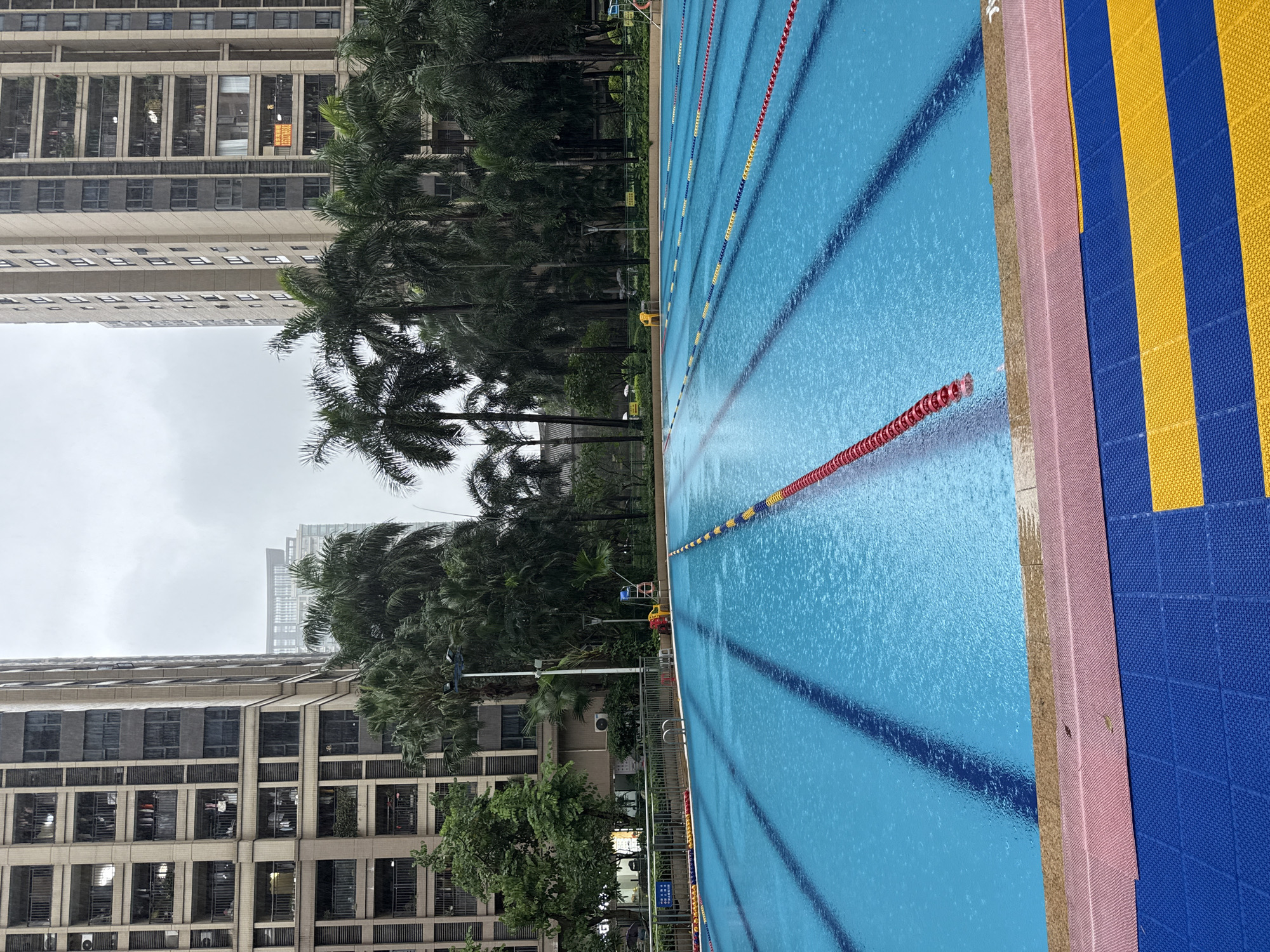 This media file captures a view of an outdoor swimming pool complex in Haizhu District, China. The setting is a juxtaposition of urban development and natural elements, with a tall, multi-story residential building dominating the background on the left. The building has a grid-like facade with numerous windows. In front of the building, a line of tall palm trees creates a lush green barrier, partially obscuring the view of the architecture and suggesting a tropical or subtropical climate.
The swimming pool itself is the primary focus of the foreground. It is a large, rectangular pool divided into lanes by red and yellow buoys. The water surface is visibly disturbed, with ripples indicating either a light rain or wind. The presence of these ripples and the overcast sky suggest that the weather is not ideal for swimming, perhaps a cloudy or rainy day.
On the right side of the pool, a brightly colored matting system in yellow and blue stripes serves as a safety area around the pool's edge. Adjacent to this is a pink-toned border. There is no visible activity or people in the immediate vicinity of the pool, which contributes to a sense of quiet or perhaps even abandonment at this moment. The scene appears to be set during daylight hours, given the natural light, but the overcast conditions create a diffused and somewhat muted atmosphere.
A small lifeguard chair with a yellow seat and a red back is visible among the trees, hinting at the pool's intended use for recreational or competitive swimming. Some signs are visible, but the text is not legible. The overall impression is one of an urban oasis, a recreational space integrated into a dense city environment, currently experiencing a quiet and potentially damp moment.