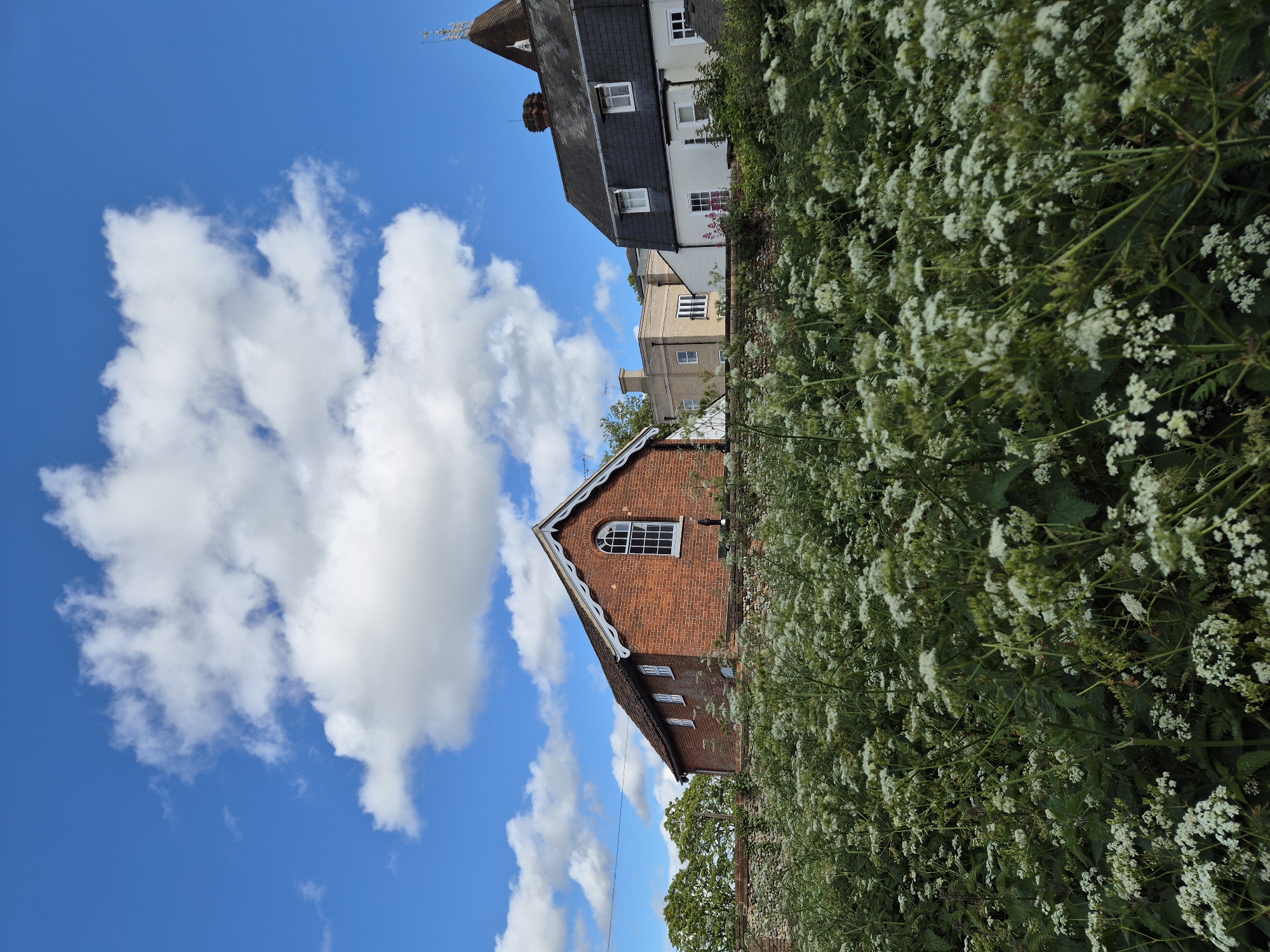 The image shows a view of buildings and vegetation, possibly in West Suffolk, United Kingdom. In the foreground, a dense patch of white flowering plants obscures part of a red brick building with a gabled roof and an arched window. The building has multiple windows on its lower floors. Behind this, other buildings are visible, including one with a slate roof and a spire or decorative element on top. The sky is bright blue with scattered puffy white clouds. The perspective of the image is slightly tilted, giving the scene a dynamic feel.