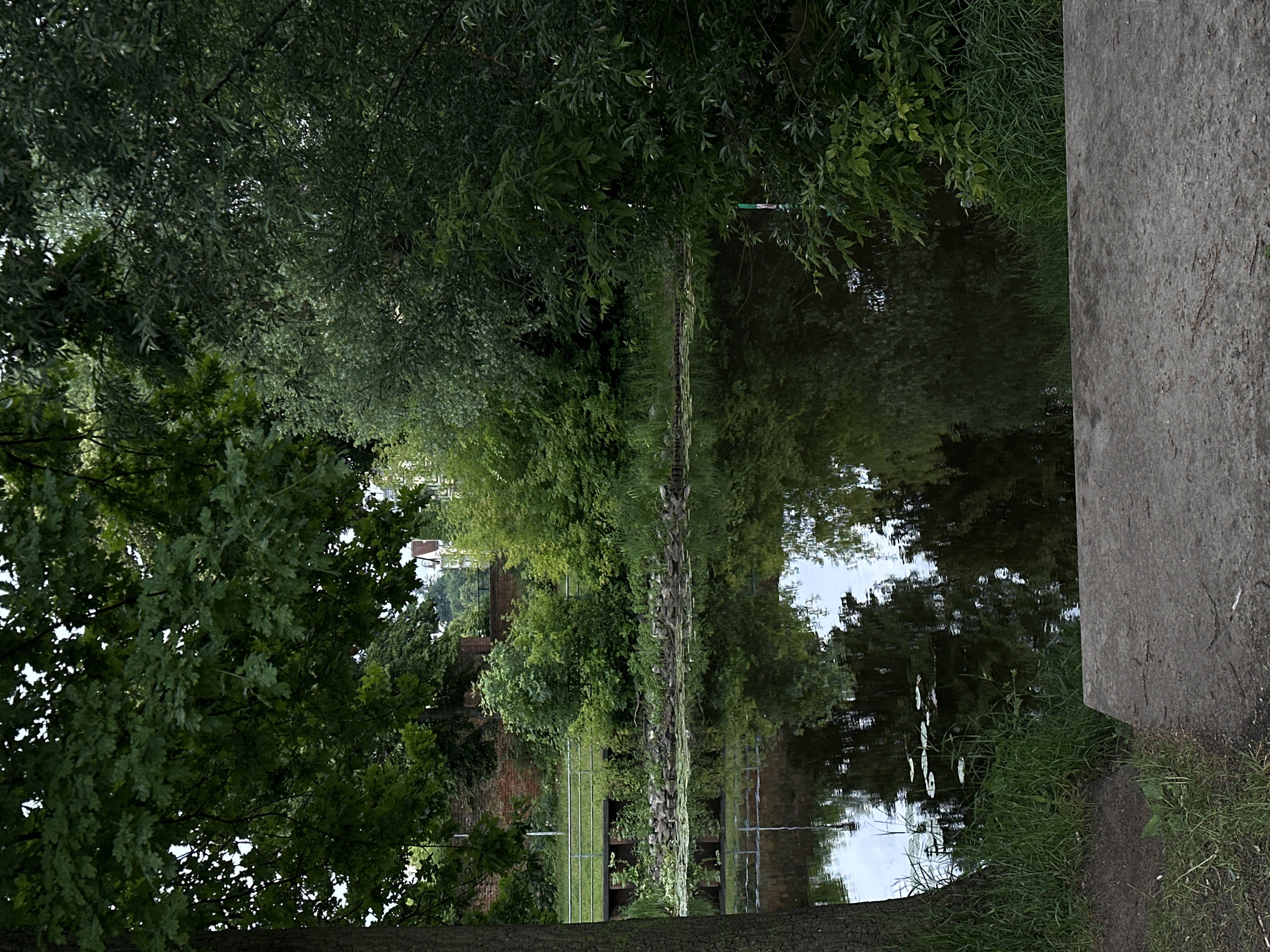 The image depicts a tranquil waterside scene with lush greenery. A concrete slab occupies the foreground, suggesting a public access point or pathway. Beyond the slab, a body of water reflects the surrounding trees and sky, with lily pads dotting its surface. The water is bordered by a rocky embankment and dense vegetation. In the background, a low metal railing runs along a path, partially obscured by foliage. Behind the railing, a brick wall and some buildings are visible, hinting at a developed area adjacent to the natural landscape. The overall impression is one of a calm, semi-urban environment where nature and human infrastructure coexist.