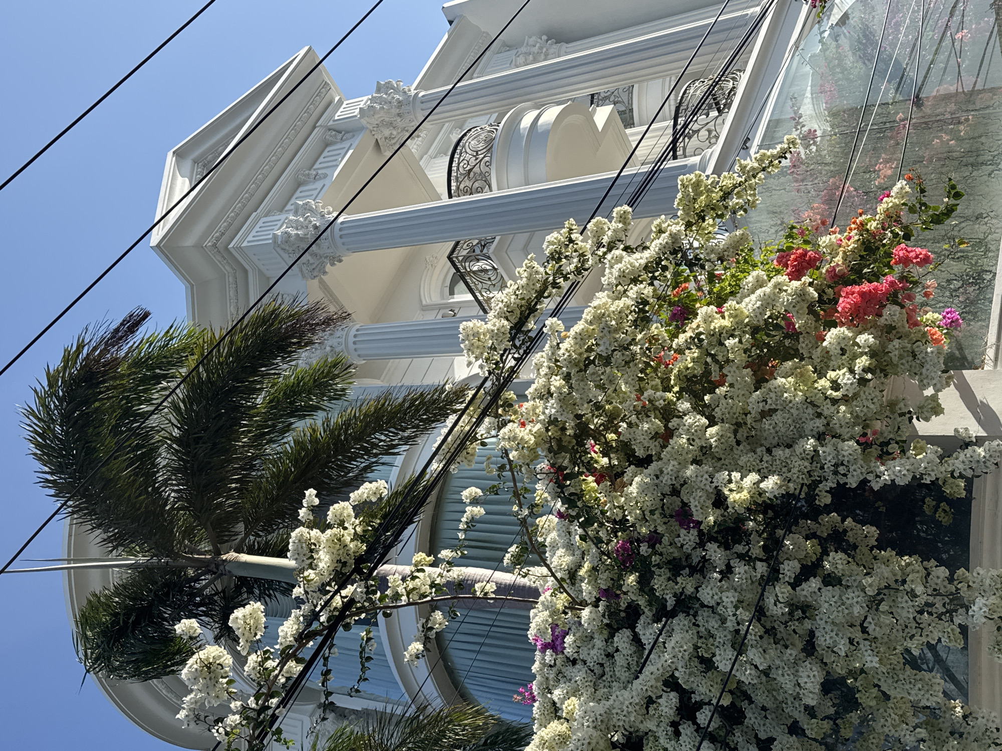 This image captures a close-up view of a white building with classical architectural elements, including columns and ornate detailing, situated in Kuta Selatan, Indonesia. A large, dense bougainvillea plant with abundant white and pink flowers cascades down the left side of the frame, partially obscuring the building and a palm tree. Electrical wires crisscross the scene against a clear blue sky. The building features balconies with decorative wrought-iron railings and large arched windows covered by light-colored curtains. The overall impression is one of a vibrant, tropical setting juxtaposed with classical architecture.