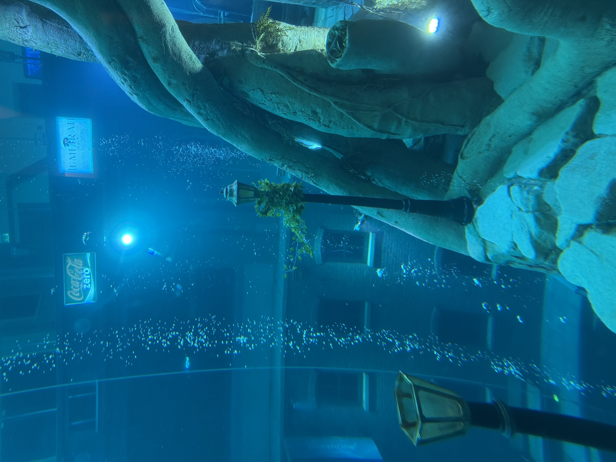 The image depicts an underwater scene at what appears to be the Dubai Aquarium, in the United Arab Emirates. A large artificial tree trunk structure dominates the upper portion of the frame. A lamppost, adorned with aquatic plants, stands submerged. Air bubbles are visible throughout the blue water, creating a sense of movement. Reflected building facades and advertisements, including one for "Coca-Cola Zero" and "Jumeirah", are seen through the tank.