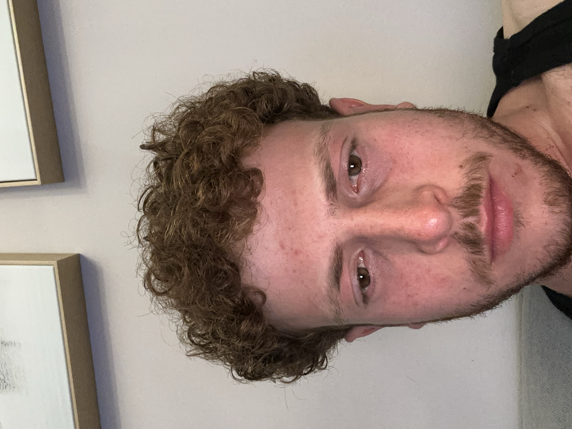 The image shows a close-up of a man's face with curly brown hair, brown eyes, and a light beard. The background is a light-colored wall with two framed artworks visible on the left side. The man is wearing a black top. The location is not identifiable as New York City.