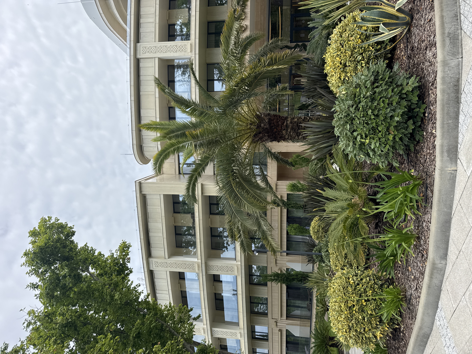 The image captures a view of a modern building with a curved facade, adorned with balconies and decorative elements. In the foreground, a lush garden features a variety of plants, including palm trees, bushy shrubs with variegated leaves, and spiky succulents. The landscaping is meticulously maintained, with a mulch bed surrounding the plants and a paved walkway at the edge of the frame. The sky is overcast, suggesting a cloudy day. The building's architecture, with its light-colored exterior and clean lines, indicates a contemporary design. This scene likely depicts a hotel or resort in Sochi, Russia, known for its resort towns and modern architecture.
