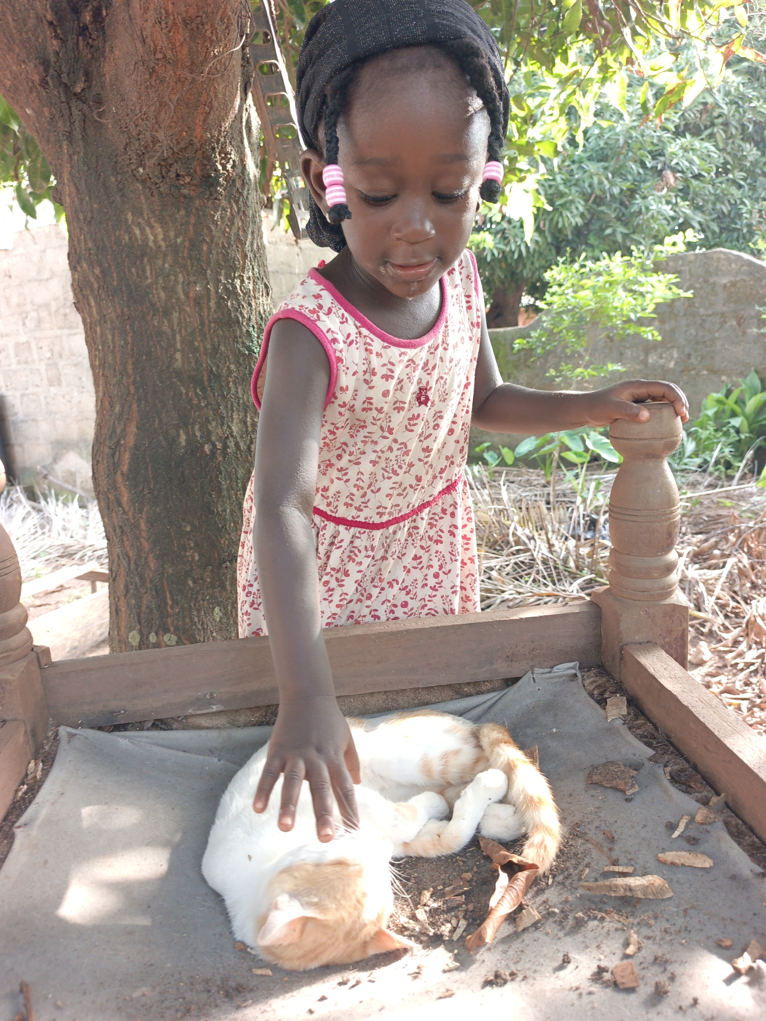 A young Black girl, wearing a black headwrap and a pink and white floral dress, gently pets a sleeping white and orange cat. The girl's face is turned downwards, focused on the cat. Her hair is styled in braids with pink and white beads. She is standing next to a wooden structure with a carved post. In the background, a large tree with rough bark dominates the left side of the frame, with lush green foliage and sunlight filtering through the leaves. The scene appears to be outdoors, possibly in a rural or semi-rural setting in Akwanga, Nigeria. The ground is covered in dirt, leaves, and small pieces of wood, suggesting a natural or unpaved area. The lighting suggests it is daytime, with bright sunlight. The overall mood is one of tenderness and peaceful interaction between the child and the animal.