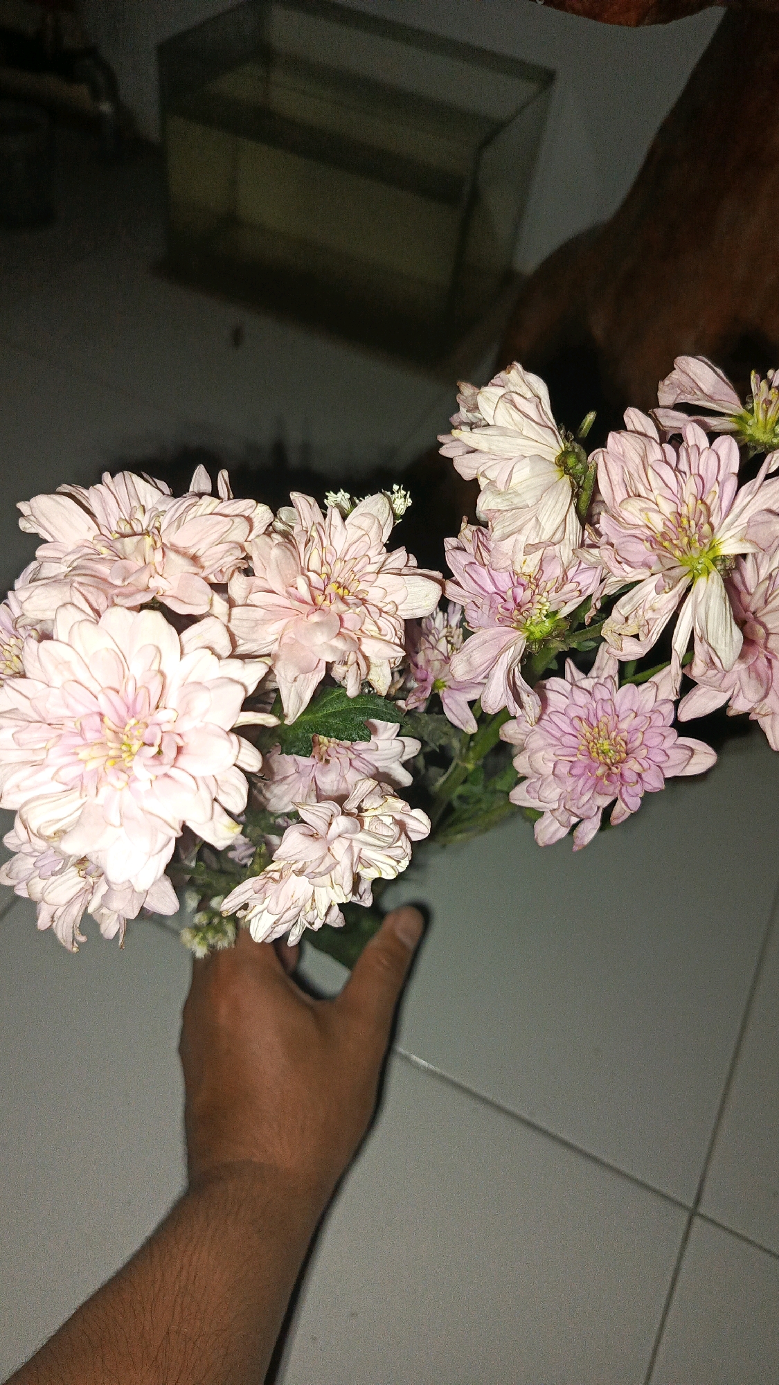 A hand is holding a bouquet of pale pink chrysanthemums. The flowers have many delicate petals. In the background, a glass aquarium is visible, and a portion of what appears to be a brown animal, possibly a dog, is also present. The setting appears to be indoors, on a tiled floor.