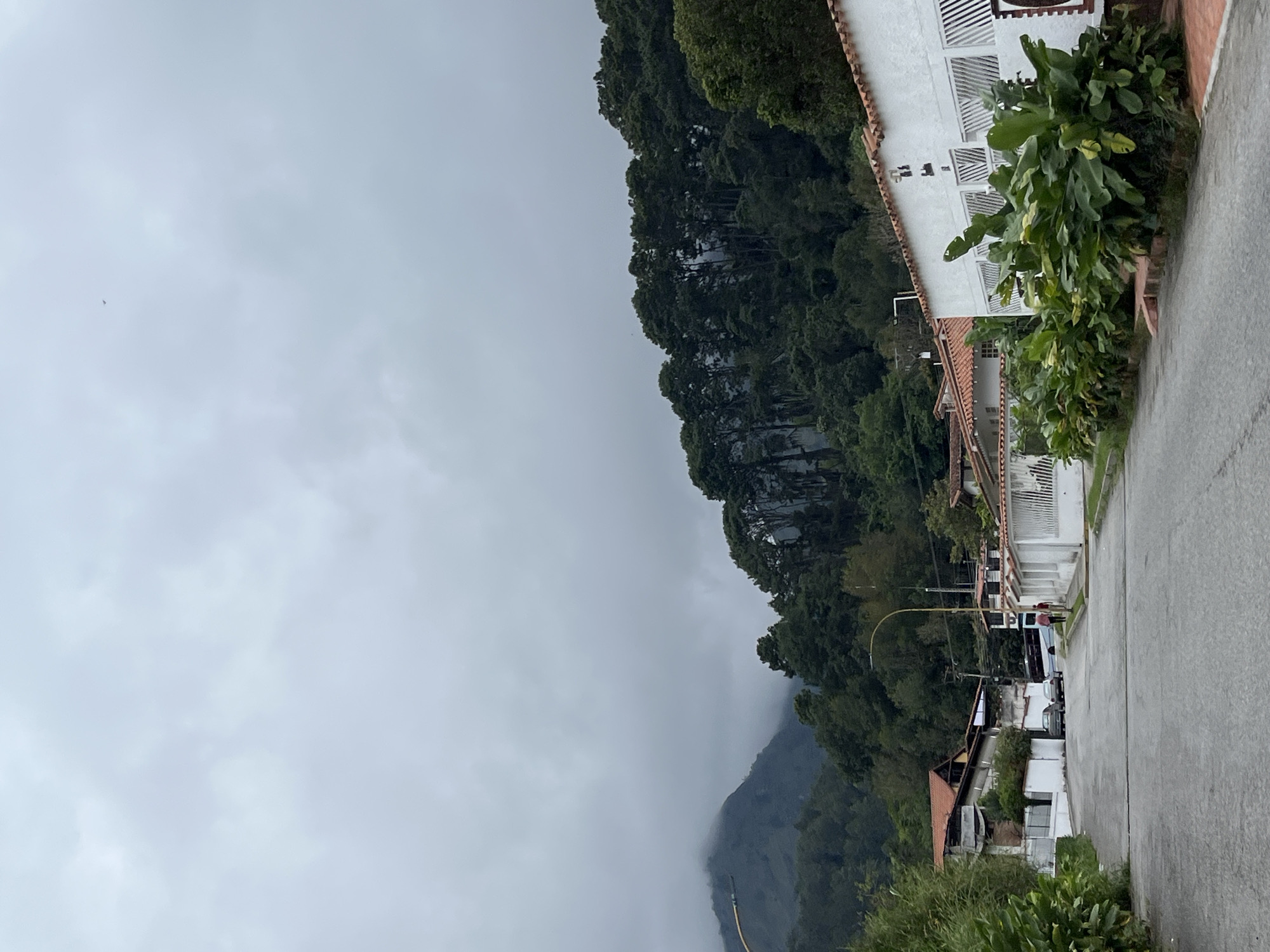 A grey, overcast day settles over a residential street in Mérida, Venezuela, where a paved road curves gently uphill, flanked by white-walled houses with terracotta-tiled roofs. Lush green foliage, including large-leafed plants, borders the sidewalk on the right. On the left, more vegetation and a partially visible building are present. Several cars are parked along the street, and a bus is approaching from the distance. Two individuals are walking towards the bus. In the background, a dense forest of tall, dark green trees covers a steep mountainside, with the peak shrouded in mist and clouds. A street lamp with a curved yellow pole stands near the center of the image. The overall atmosphere is quiet and subdued, likely due to the cloudy weather.