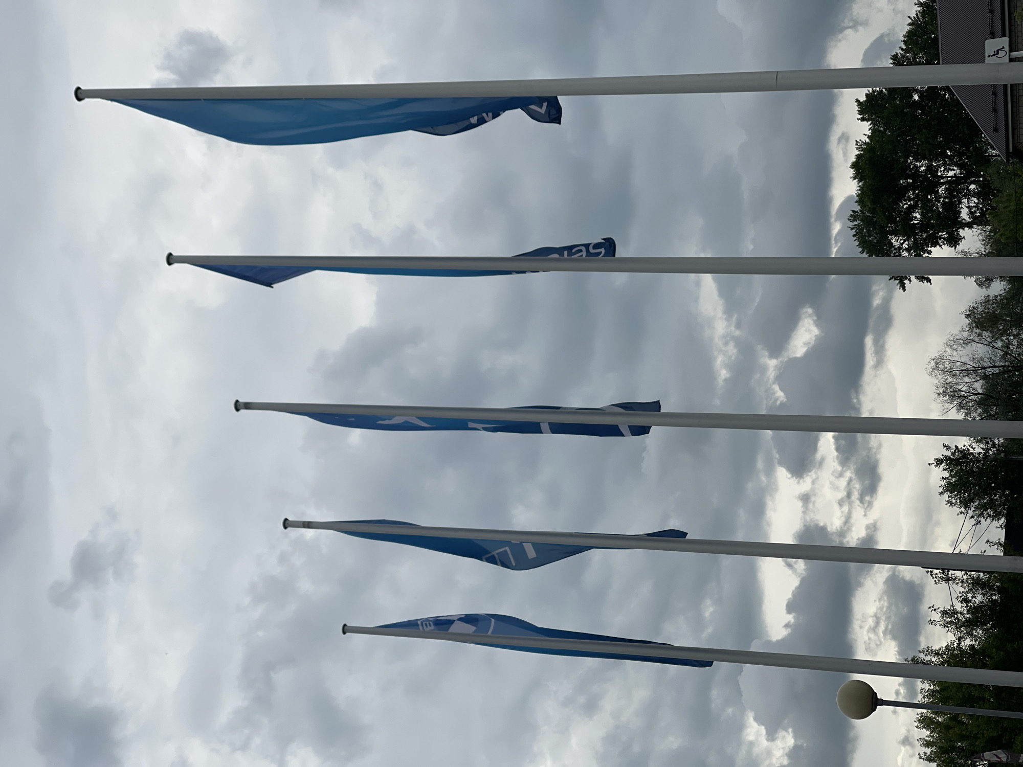 The image displays five blue flags, each mounted on a tall, white flagpole, set against an overcast and cloudy sky. The flags are arranged vertically in a row, extending across the frame and partially unfurled, indicating a gentle breeze. Each flag features the word "SENS" in white text, likely a brand or organizational name, with some letters appearing reversed due to the flag's movement.
The sky is filled with dense, grey clouds, suggesting an overcast daytime or potentially pre-storm weather. To the right of the flagpoles, dark green trees are visible, with a building structure emerging above the treeline in the upper right corner. A small sign with a white wheelchair symbol on a dark background is affixed to this building, indicating accessibility. A white, spherical street lamp is partially visible on the bottom right. The scene is devoid of people, portraying a still, outdoor setting, possibly in an urban or commercial area.