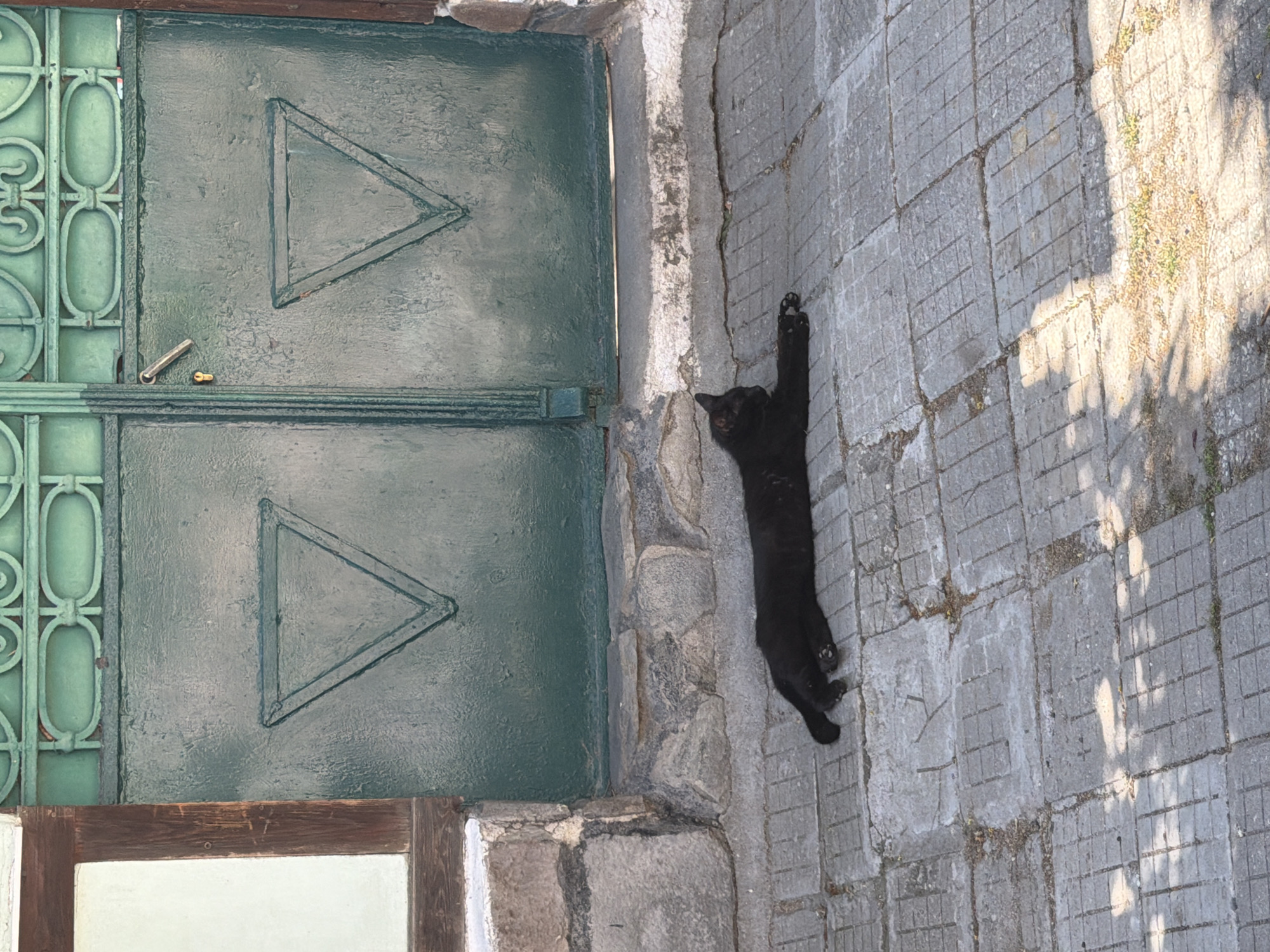 A black cat is lying on its stomach on a paved courtyard in front of a large, dark green metal gate. The gate is ornate at the top and has two large panels, each with a raised triangular design. To the left of the gate is a section of a building with a white panel and dark wooden trim. The courtyard is paved with square concrete slabs. The cat is oriented parallel to the gate, with its head facing to the left. Sunlight casts dappled shadows on the pavement. The scene appears to be outdoors, possibly in an urban environment. The location is identified as Pazardzhik, Bulgaria.