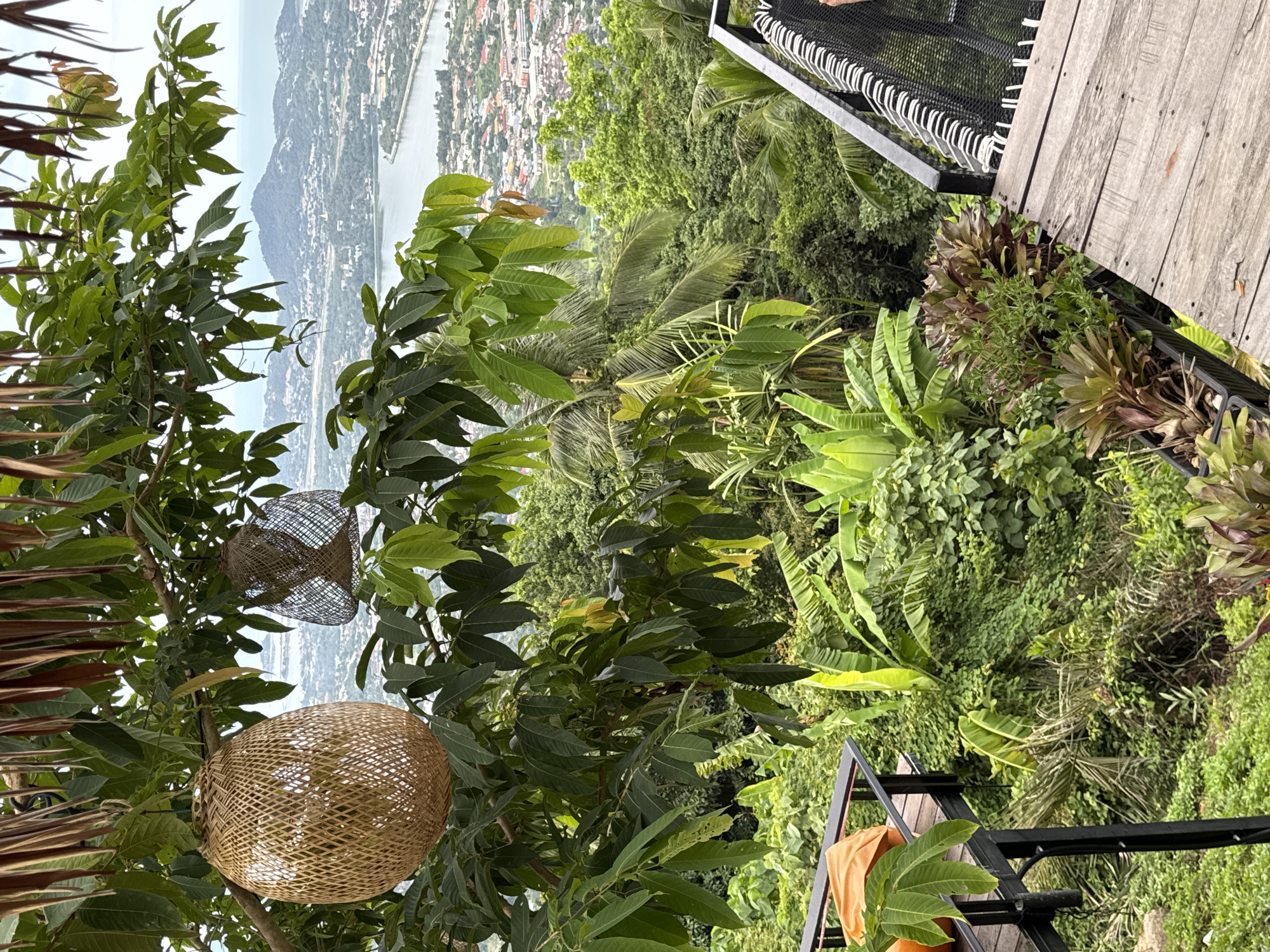 The image captures a high-angle view of a lush, green tropical landscape with a town and body of water in the distance. In the foreground, a tree with large leaves is adorned with two woven hanging decorations, one spherical and the other more angular. To the right, a wooden deck with a black metal railing leads the eye towards the dense vegetation below. The railing also features a woven mesh and white accents. An orange cloth is draped over the railing in the lower right portion of the image. The scene suggests an outdoor setting, possibly a balcony or viewpoint, overlooking a tropical town nestled between verdant hills and a body of water. The lighting indicates it is daytime, with diffused light suggesting an overcast or slightly hazy sky. The overall impression is one of tranquility and natural beauty. There is no visible text in the image.