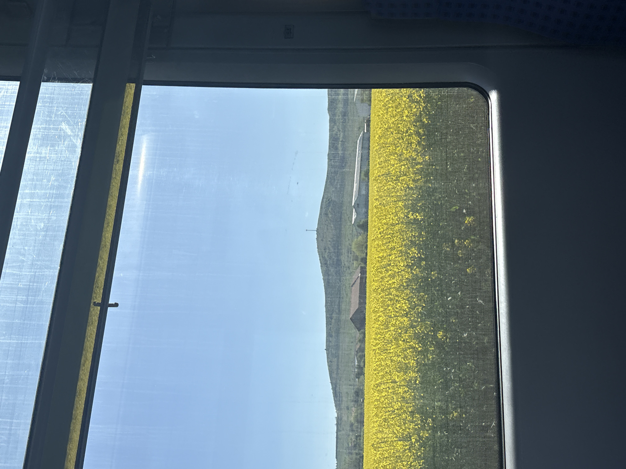 View from a train window in Ovchepoltsi, Bulgaria. A field of bright yellow rapeseed flowers stretches into the distance, adjacent to a small hill with a structure visible towards the bottom. The sky is clear and blue. The window frame is visible, showing multiple panes. The train carriage interior is blue and gray.