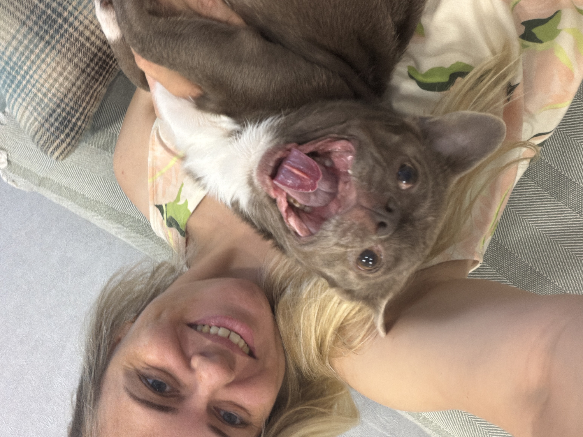 A woman with blonde hair and a floral-patterned shirt is holding a brown and white cat upside down. The cat's mouth is open, revealing its tongue and teeth. The woman is smiling at the camera, and the cat is looking towards the camera. They appear to be on a couch with a patterned pillow in the background. The image was taken in Votkinsk, Russia.