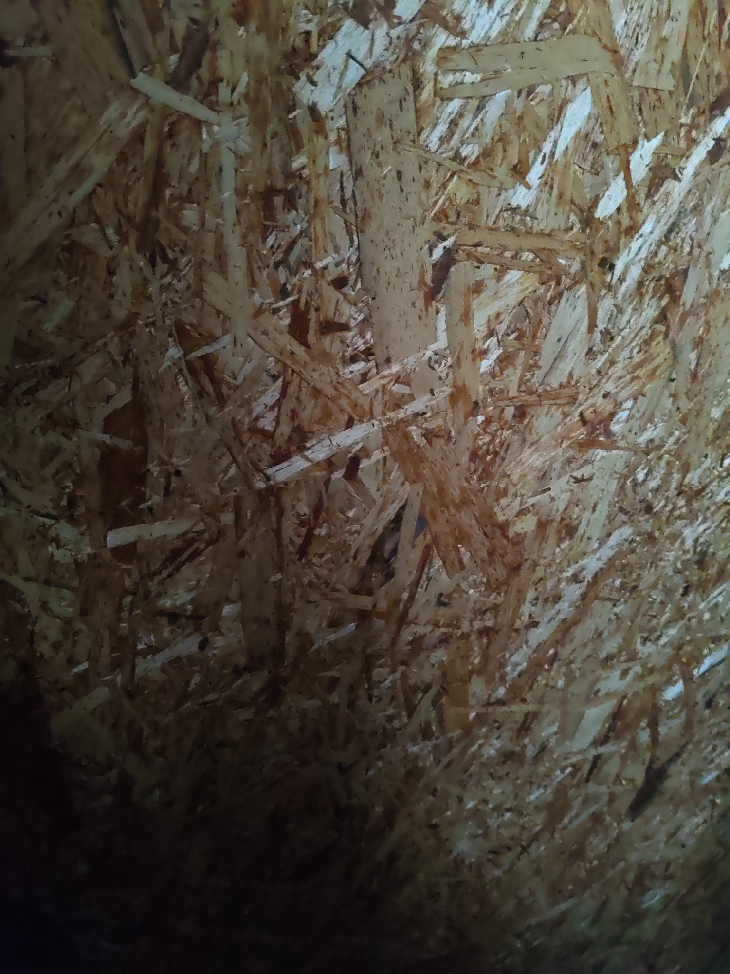 The image is a close-up, abstract photograph of oriented strand board (OSB). The texture is rough and irregular, composed of compressed wood chips and strands oriented in various directions. The colors range from light tan to darker brown, with some specks of darker material, likely from the wood itself or the adhesive used. There is a noticeable gradient of light, with the upper right portion being brighter and the lower left portion becoming significantly darker, suggesting a light source is positioned to the upper right and possibly a shadow or limited visibility in the lower left. The image is focused on the surface of the OSB, revealing its layered and splintered composition. There are no people, animals, or discernible man-made objects other than the OSB itself. The scene is devoid of any context that would place it in Platoshino, Russia, or any other specific location; it is simply a detailed view of a building material.