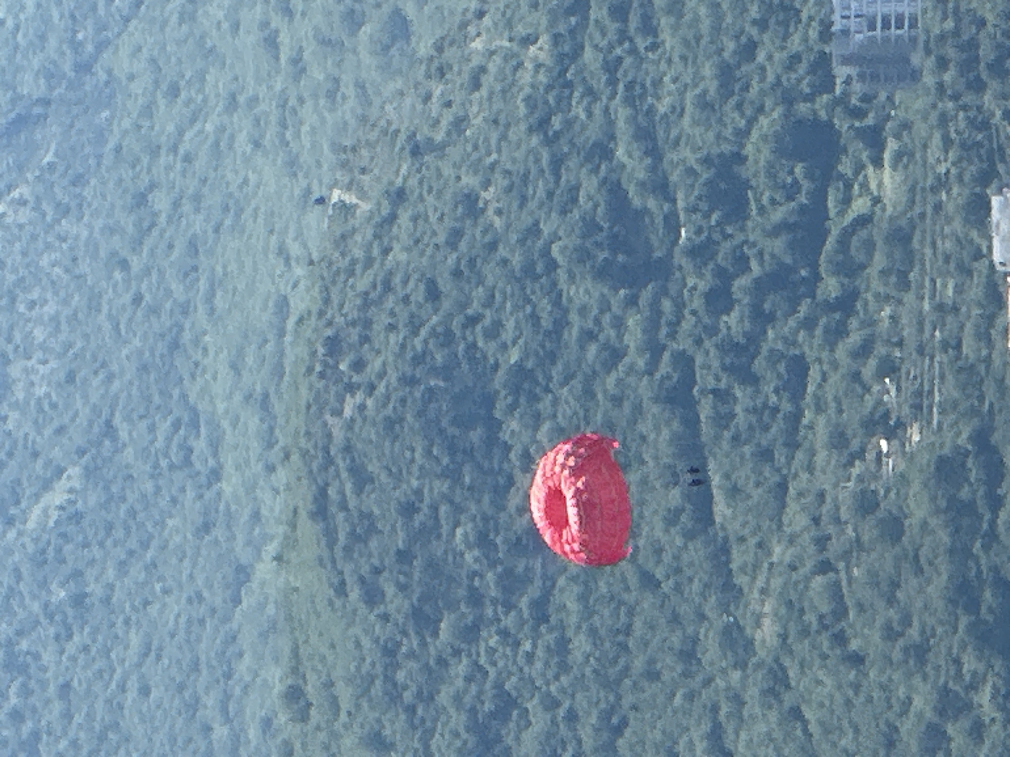 An aerial perspective captured on a bright, overcast day depicts a vibrant pink parachute, suspended mid-air against a backdrop of lush, densely forested hillsides. Two individuals, dressed in dark attire, are suspended beneath the parachute, indicating they are tandem paragliding. The parachute is positioned to the left of the frame. The lower portion of the image reveals the cityscape of Boreti, Montenegro, with buildings and structures scattered amongst the trees and along the coastline. The water in the foreground is a calm, muted blue.