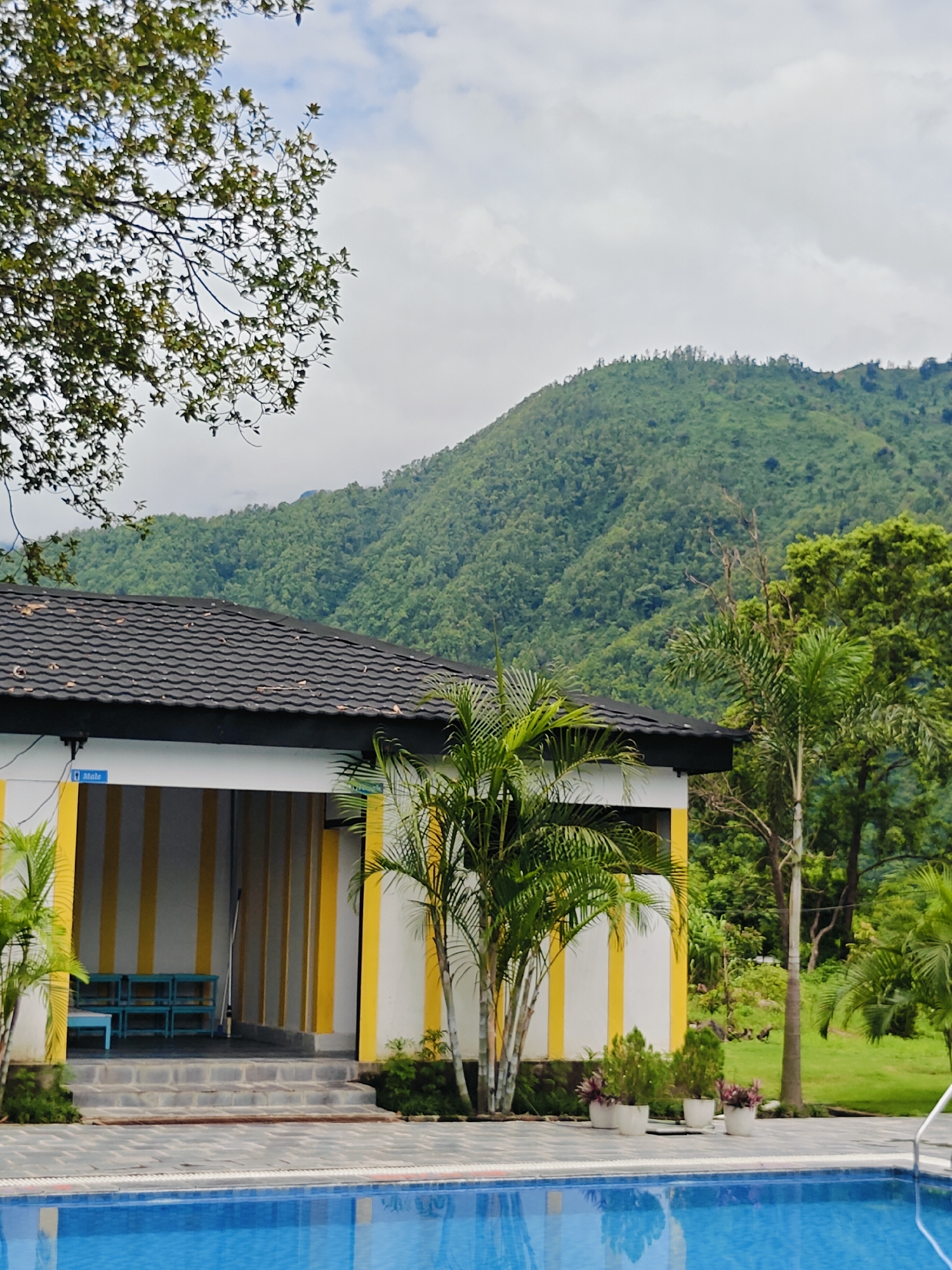 A refreshing blue swimming pool with a tiled edge is in the foreground, leading to a building with a black tiled roof. The building is white with yellow vertical stripes and has steps leading up to an entrance. Inside the entrance, there are several blue benches. Palm trees and other greenery surround the building, with a lush green mountain range visible in the background under a cloudy sky. The scene appears to be a resort or hotel in Ichchhakamana, Nepal.