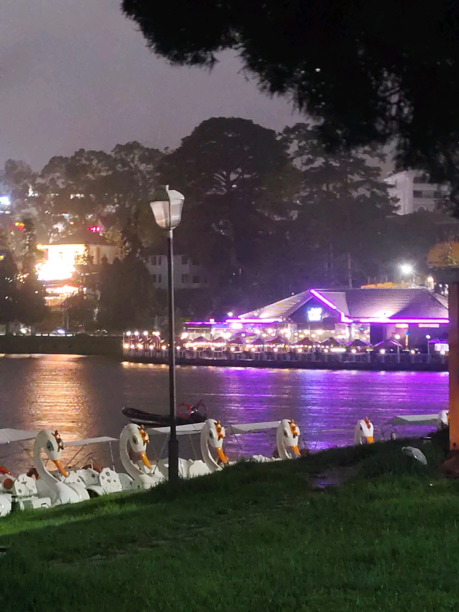 The image depicts a nighttime scene at Xuan Huong Lake in Da Lat, Vietnam. In the foreground, several white swan-shaped pedal boats are docked along the grassy bank. The lake's surface reflects the ambient light from the cityscape and the brightly lit restaurant situated across the water. The restaurant, adorned with vibrant purple and white neon lights, is a prominent feature on the far side of the lake. Trees and buildings are visible in the background, partially obscured by darkness and foliage. A streetlamp stands near the center of the image, illuminating the immediate area. The overall atmosphere is serene and somewhat moody, characteristic of a city at night.