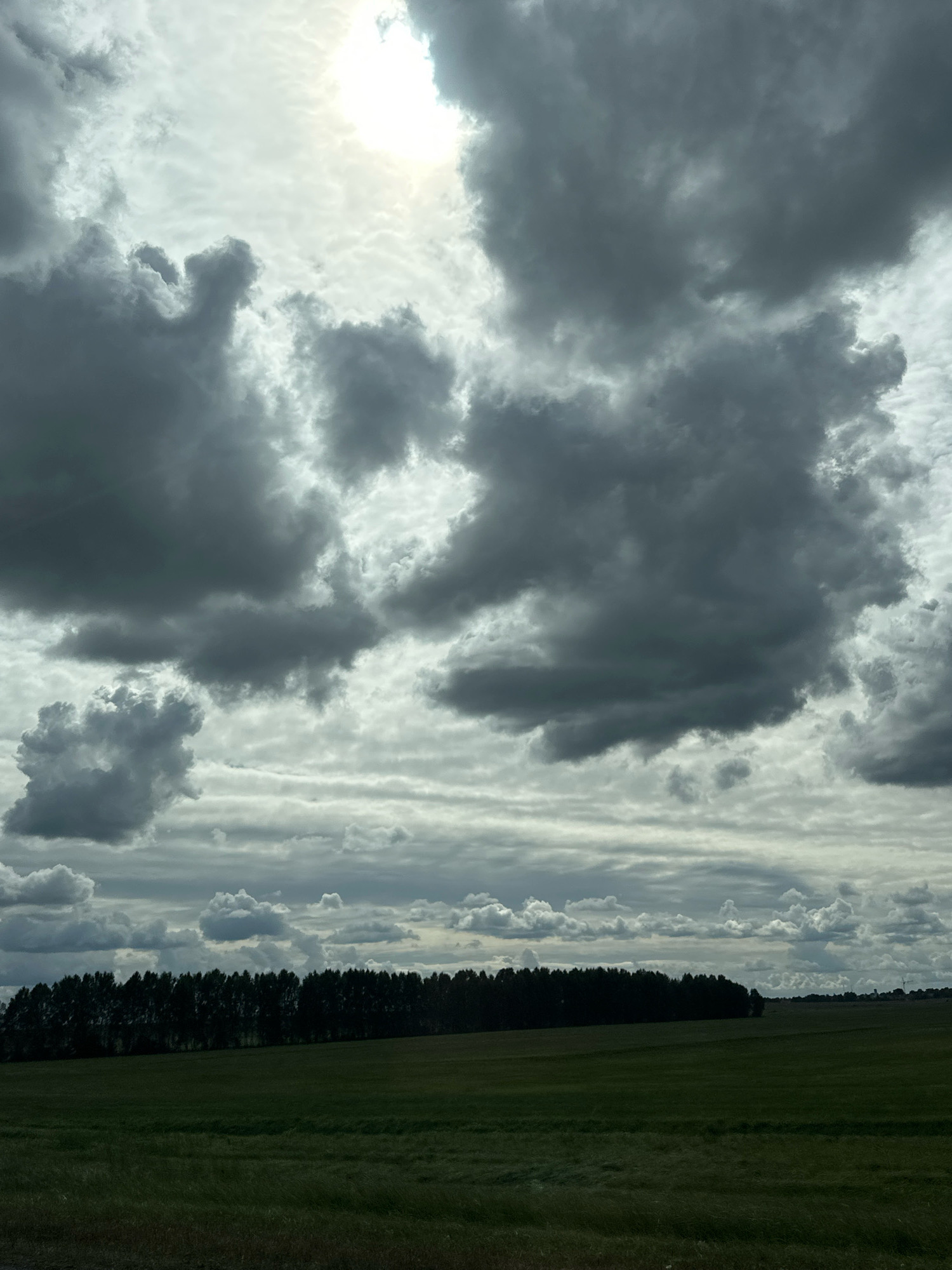The image depicts a landscape scene under a cloudy sky. In the foreground, there is a dark green, slightly textured grassy field. Behind the field, a line of dark green trees forms a dense band across the middle ground. The background is dominated by a dramatic sky filled with various types of clouds, ranging from dark, heavy storm clouds to lighter, more diffused formations. The sun is partially obscured by the clouds, creating areas of bright light and shadow. The overall impression is of a natural, open landscape, possibly rural, with a sense of impending weather change. The location is Блонскі сельскі Савет, Belarus, suggesting a context of Belarusian countryside. There are no people, specific objects, or actions visible in the scene.