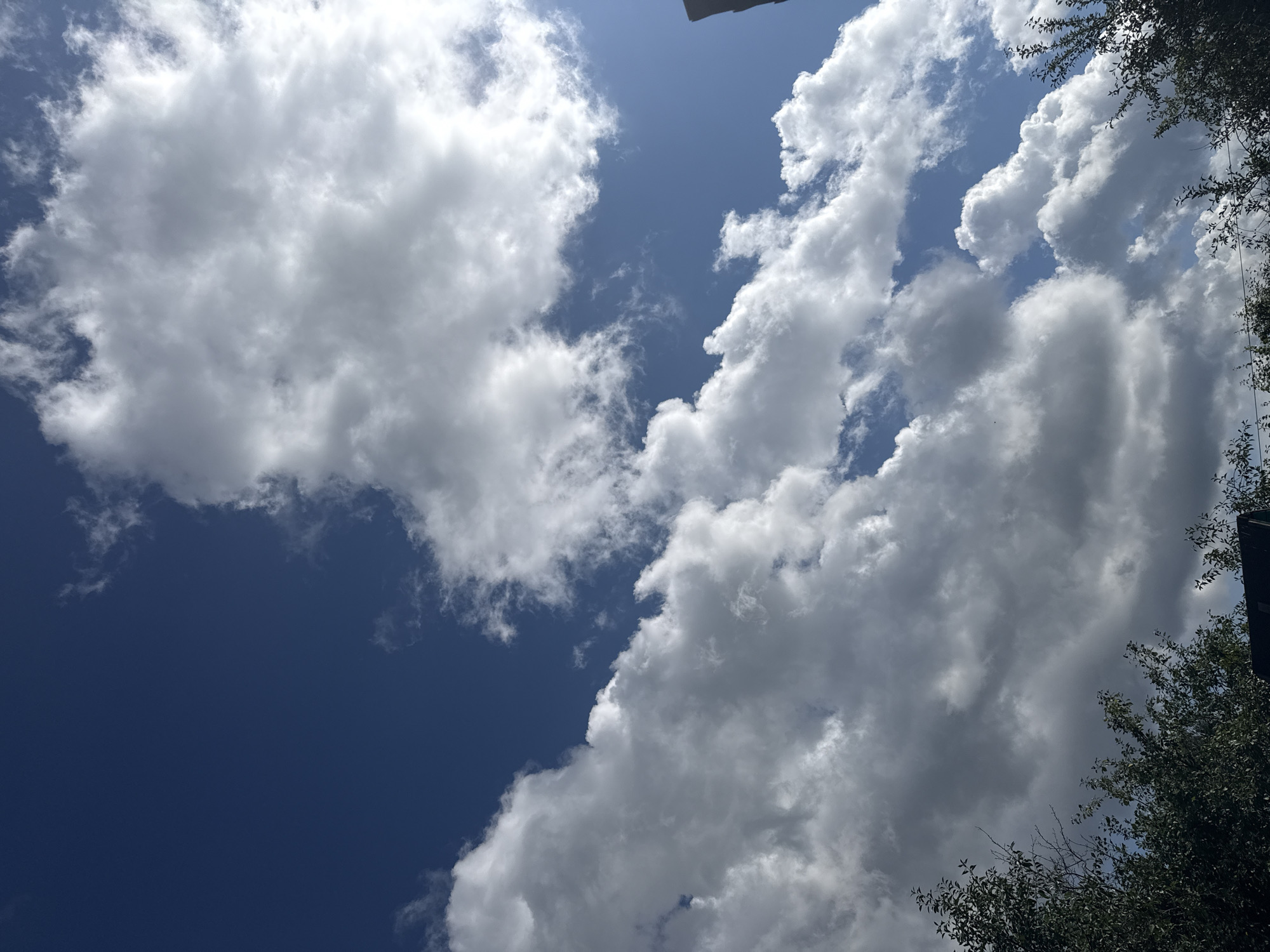 The image shows a bright blue sky with large, puffy white clouds. Some of the clouds are darker gray, suggesting they might be thicker or about to produce rain. The sun is shining brightly, creating highlights on the clouds. In the lower part of the image, the tops of green trees and a dark roofline are visible, indicating an outdoor scene with vegetation and possibly a residential area. There are no people or animals visible in the image. The overall impression is of a partly cloudy day with good visibility. The scene appears to be in an open area, possibly a park or backyard, given the presence of trees and a roof. It is impossible to determine the exact location in the city of Ветлужский, Russia, from this image alone.