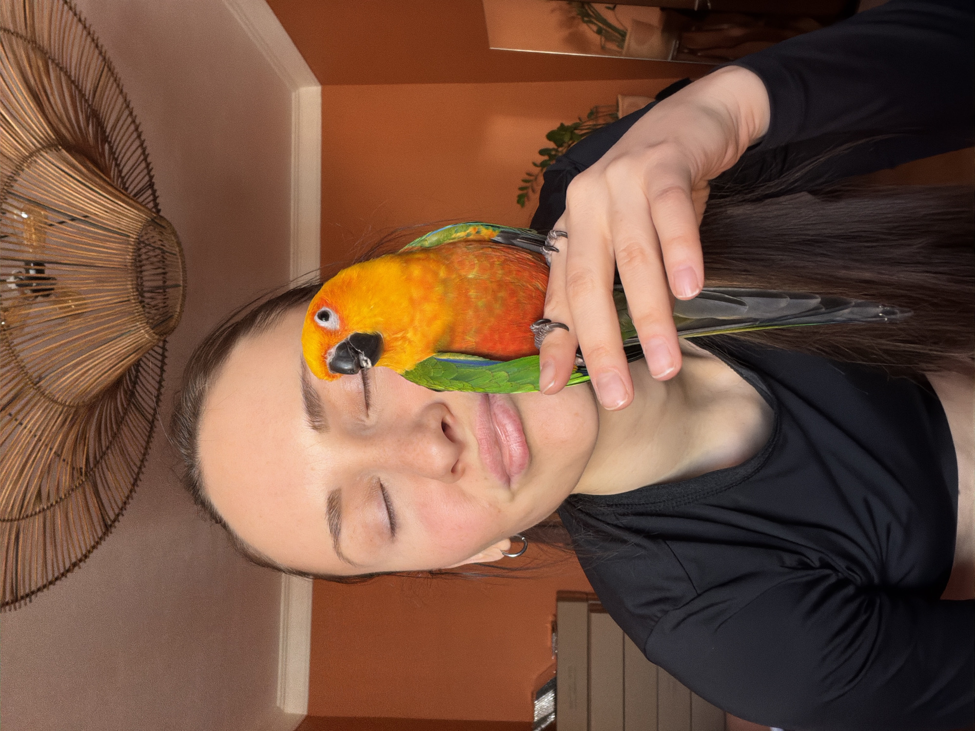 The scene, located indoors in Khimki, Russia, presents a close-up, chest-up view of an adult female holding a parrot. The female, possessing long dark hair and wearing a black long-sleeved top with a silver hoop earring in her left ear, has her eyes closed and lips pursed. Her right hand supports a Sun Conure parrot, distinguishable by its yellow, orange, green, and blue plumage, black beak, and white eye-ring. The parrot is positioned facing slightly left. The background consists of an orange-brown wall, a light-colored ceiling with crown molding, and a large, woven rattan ceiling fixture. Partial views of a wooden furniture item are present on the left, and a mirror reflecting a houseplant is visible on the right.