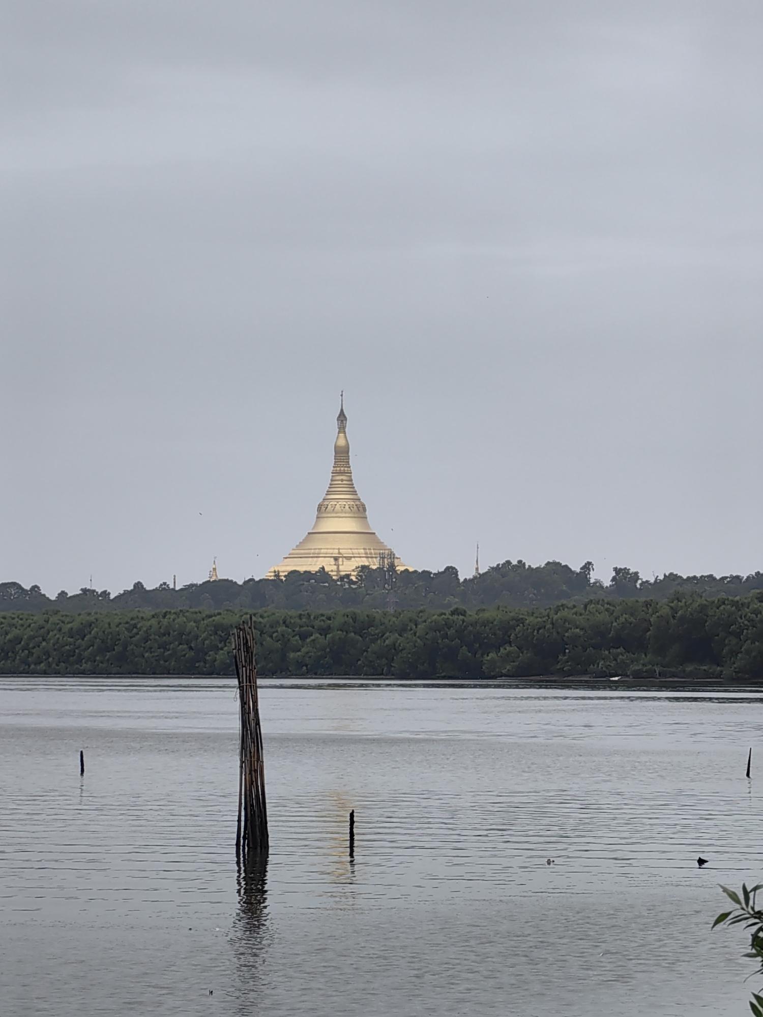 The image shows a vast body of water in the foreground, with gentle ripples on its surface. Several vertical wooden posts, some clustered together and others solitary, emerge from the water. Beyond the water, a dense line of green trees forms a natural barrier, obscuring the land behind it. Dominating the background is a large, golden Buddhist stupa, its distinctive tiered dome structure reaching towards the overcast sky. The stupa appears to be situated on a hill or elevated area, visible above the treeline. Two smaller, similar structures are faintly visible in the distance to the left of the main stupa. The overall atmosphere is serene and somewhat muted due to the cloudy weather. This scene is located in Gorai, India, and depicts the Global Vipassana Pagoda.