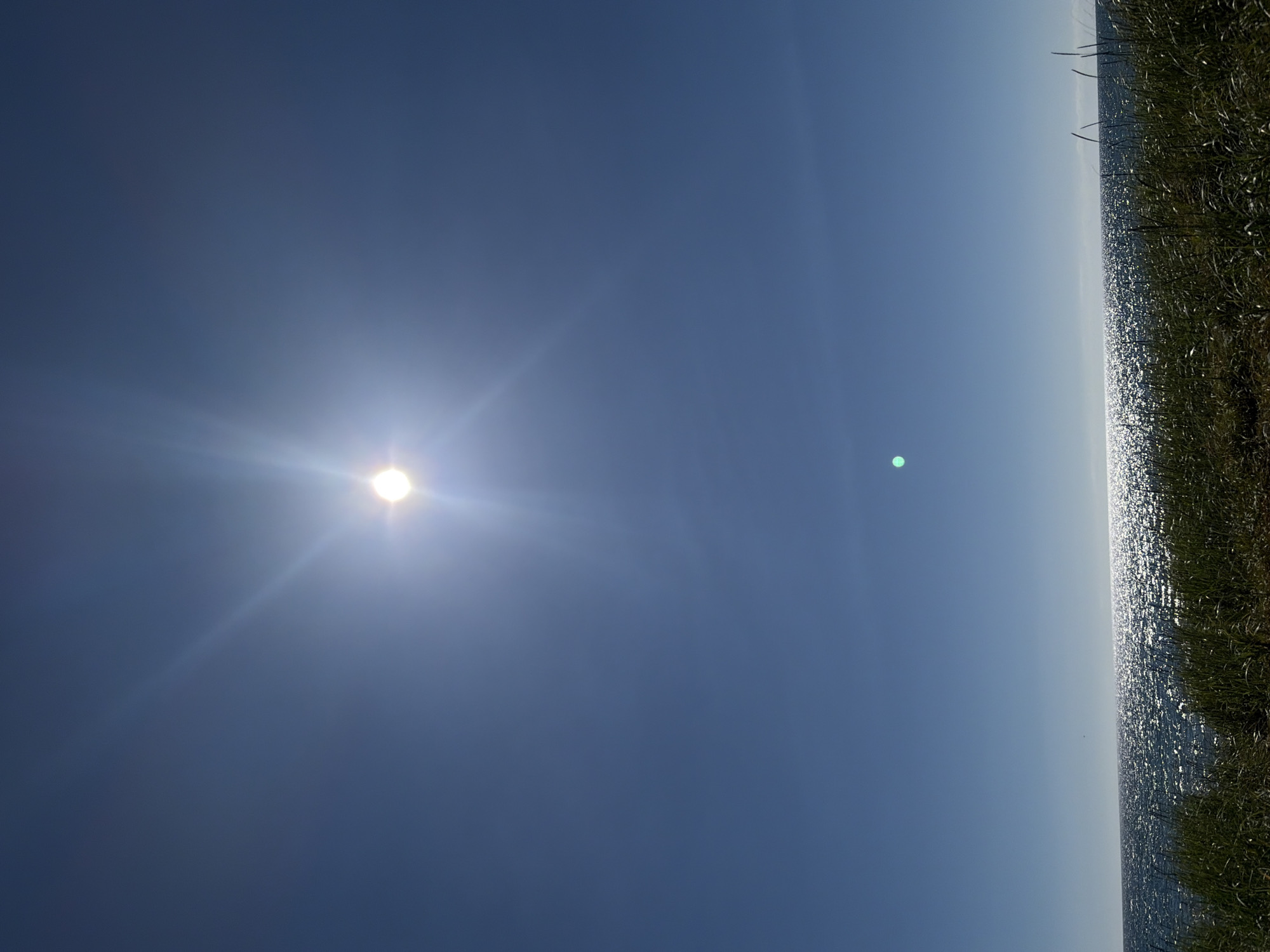 The image depicts a bright, clear day with a deep blue sky and the sun prominently visible near the top center. The sun is casting strong rays, creating a lens flare effect. Below the sky, the ocean stretches across the horizon, its surface sparkling with sunlight. In the foreground, tall green grass is visible, suggesting a natural, possibly coastal or lakeside environment. The scene appears to be outdoors and the location is identified as Ozerskoe, Russia. There are no people or animals visible in the image.