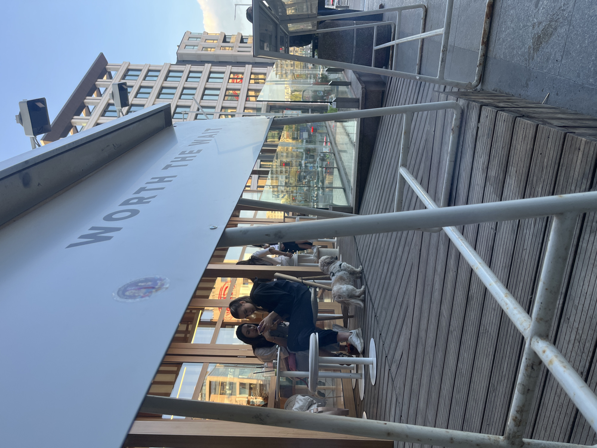 The image depicts an outdoor seating area in an urban setting, oriented as if taken from a slightly elevated position looking down and across. The time of day appears to be late afternoon or early evening, indicated by the soft, clear lighting and blue sky.
In the foreground, a prominent white, angled canopy or roof extends from the left, partially obscuring the top left corner of the frame. Bold, dark grey letters are visible on its surface, spelling out "WORTH THE WA" with the rest of the text likely being "IT" for "WORTH THE WAIT." A circular sticker or logo is also affixed to the canopy. White metal railings, some showing signs of rust, crisscross the foreground and mid-ground, defining the edges of the seating area. The ground consists of a wide expanse of wooden plank decking.
In the mid-ground, two women are seated at white, modern outdoor tables and chairs. One woman, wearing dark clothing, is leaning forward, looking down at a smartphone held by the other woman, who has dark hair. They appear engaged in an activity on the phone. Nearby, two small, fluffy dogs are present on the wooden deck, one standing and looking towards the women, the other partially visible.
The background features modern multi-story buildings with numerous windows, reflecting the sky and surrounding structures. A glass partition separates the outdoor seating area from the cityscape beyond. Two dark, rectangular fixtures on poles, possibly outdoor lights or speakers, are visible against the clear blue sky towards the top left. The scene suggests a relaxed atmosphere in a contemporary urban environment, consistent with a cafe or outdoor dining space in a city like Sofia, Bulgaria.