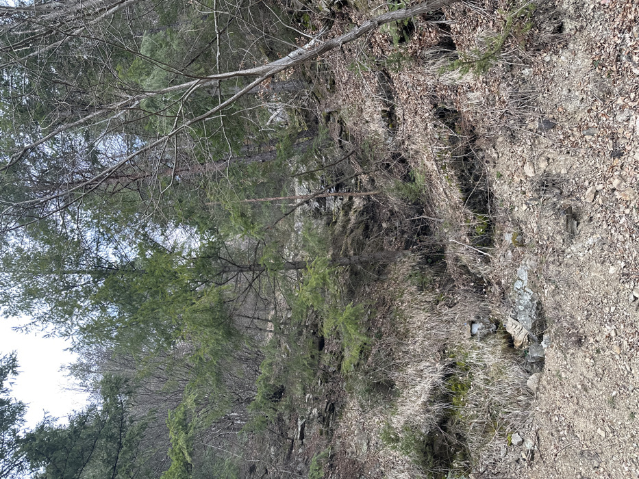 The scene depicts a sloped, wooded hillside within the vicinity of Rustan, Bulgaria, under an overcast sky providing diffuse lighting. The terrain is characterized by a mix of natural ground cover, including loose dirt, gravel, exposed grey and brown rock formations, dry straw-colored grass, and significant leaf litter. Numerous trees populate the slope, consisting of both green coniferous species and deciduous trees with bare branches. In the lower left quadrant of the image, at the base of the incline, a weathered, rectangular white concrete block, approximately 30x20 cm, is partially embedded in the soil near a small, moist depression. No people or active interactions are present in the static scene.