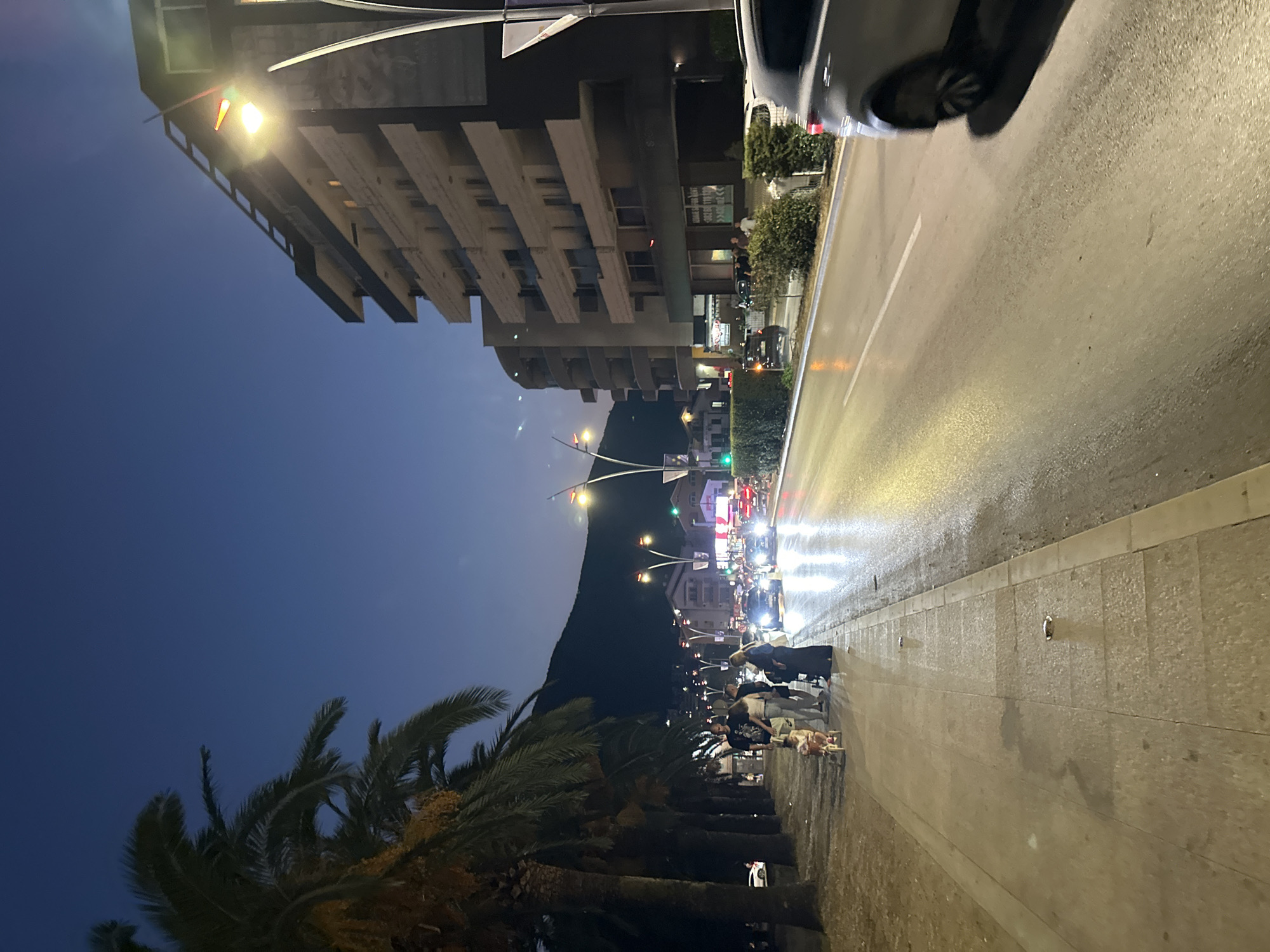 The image depicts a street scene in Budva, Montenegro, at dusk or early evening. The sky is a deep blue, transitioning to darkness, with a hint of twilight. On the left side of the street, a row of tall palm trees lines the sidewalk, their fronds silhouetted against the sky. A group of people are walking on the sidewalk, including adults and a child on a tricycle.
The street itself is wet and reflects the light from streetlamps and the headlights of passing cars, suggesting it may have rained recently or has been recently washed. Several cars are visible on the road, their headlights illuminating the wet surface.
Dominating the right side of the image is a multi-story modern building with balconies. Streetlights are strategically placed along the road, casting a warm glow. In the background, a dark mountain range is visible, providing a natural backdrop to the urban environment. The overall impression is one of a lively evening in a coastal city.