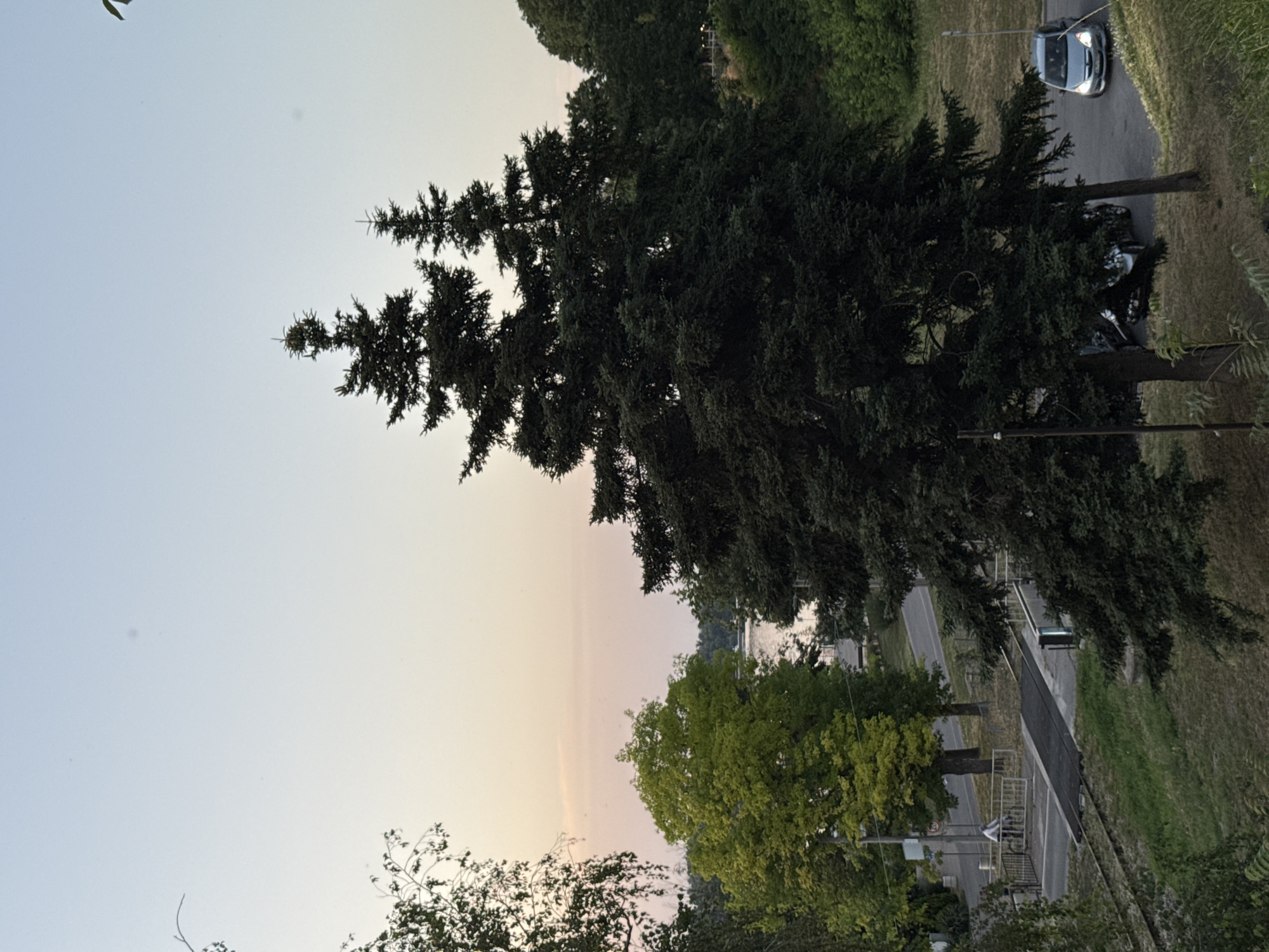 This image depicts a street-level view of a calm urban scene, possibly in the city of Ruse, Bulgaria, characterized by a serene sunset or twilight atmosphere. The sky transitions from a pale blue to a soft pinkish hue, suggesting the end of the day. Dominating the foreground are two large, dark green coniferous trees, their dense foliage creating a dramatic contrast against the lighter sky.
To the left, a bright green deciduous tree stands out, its vibrant leaves catching the fading light. Beyond these trees, a body of water, likely the Danube River, is visible, reflecting the soft colors of the sky. A pathway or road runs alongside the water, with a pedestrian crossing over railway tracks in the mid-ground. A person on a bicycle is crossing the tracks at this point.
Further back, several vehicles are visible: a silver hatchback is parked on the side of the road, and a smaller, light-colored car appears to be driving away, its headlights illuminated. The presence of streetlights and the general layout of the road and walkways suggest an accessible urban environment. The overall impression is one of a peaceful evening in a green, waterside city.