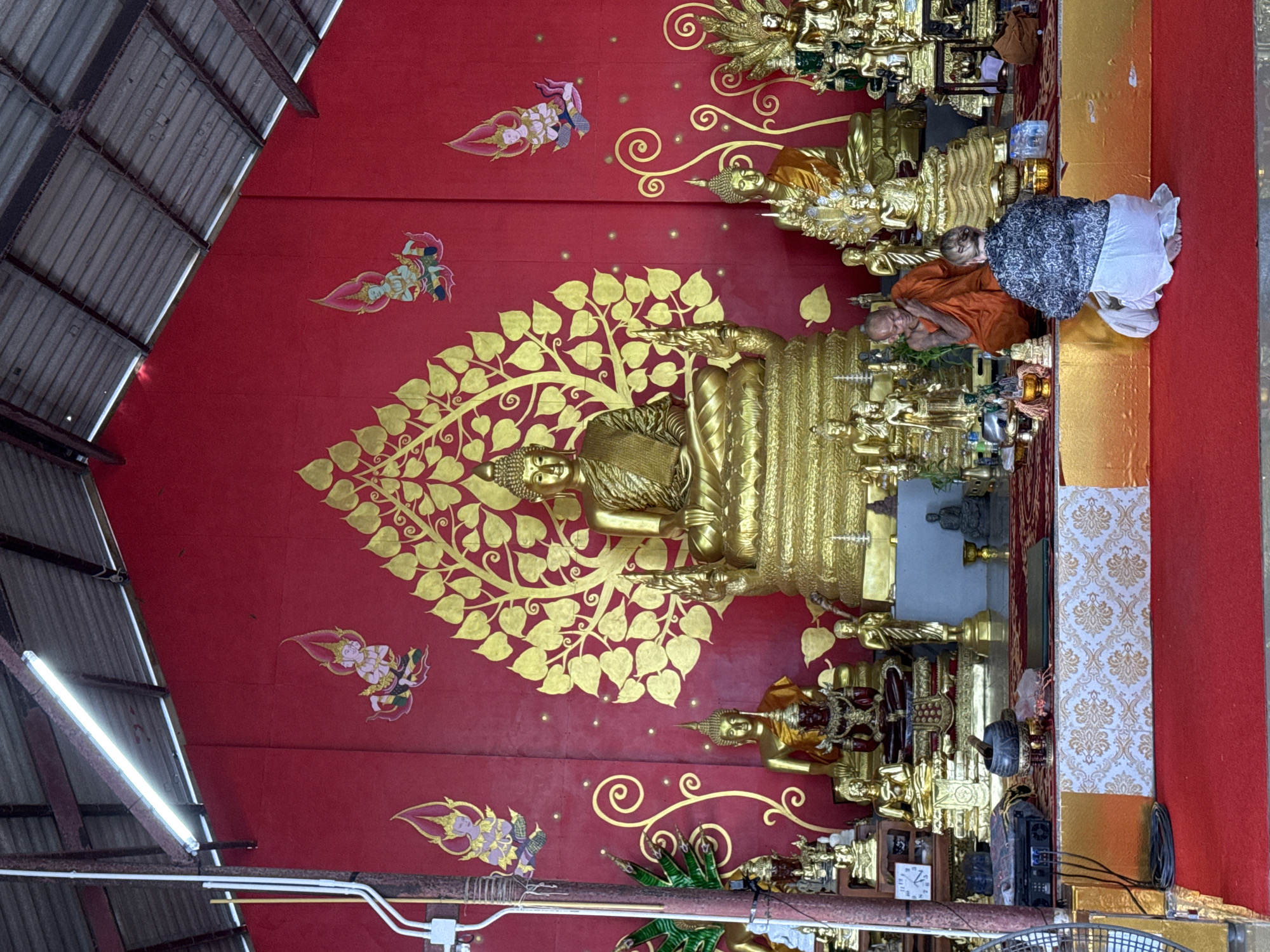 The image depicts a shrine within a Buddhist temple in Karon, Thailand. The focal point is a large, ornate golden statue of Buddha seated on a tiered platform. Behind the Buddha statue, a vibrant red wall is decorated with a large, golden, stylized Bodhi tree motif and smaller golden celestial figures. Surrounding the main Buddha statue are numerous smaller golden Buddha statues of varying sizes, some adorned with orange sashes. In the foreground, a Buddhist monk in an orange robe kneels, facing a woman who is also kneeling. The woman is wearing a patterned top and a white skirt, her back is turned towards the viewer. She appears to be engaged in prayer or meditation. The shrine is set on a raised platform covered with red carpet and a decorative patterned cloth. The environment appears to be indoors, with a visible corrugated metal roof and fluorescent lighting fixtures overhead. The overall scene suggests a place of worship and spiritual practice.