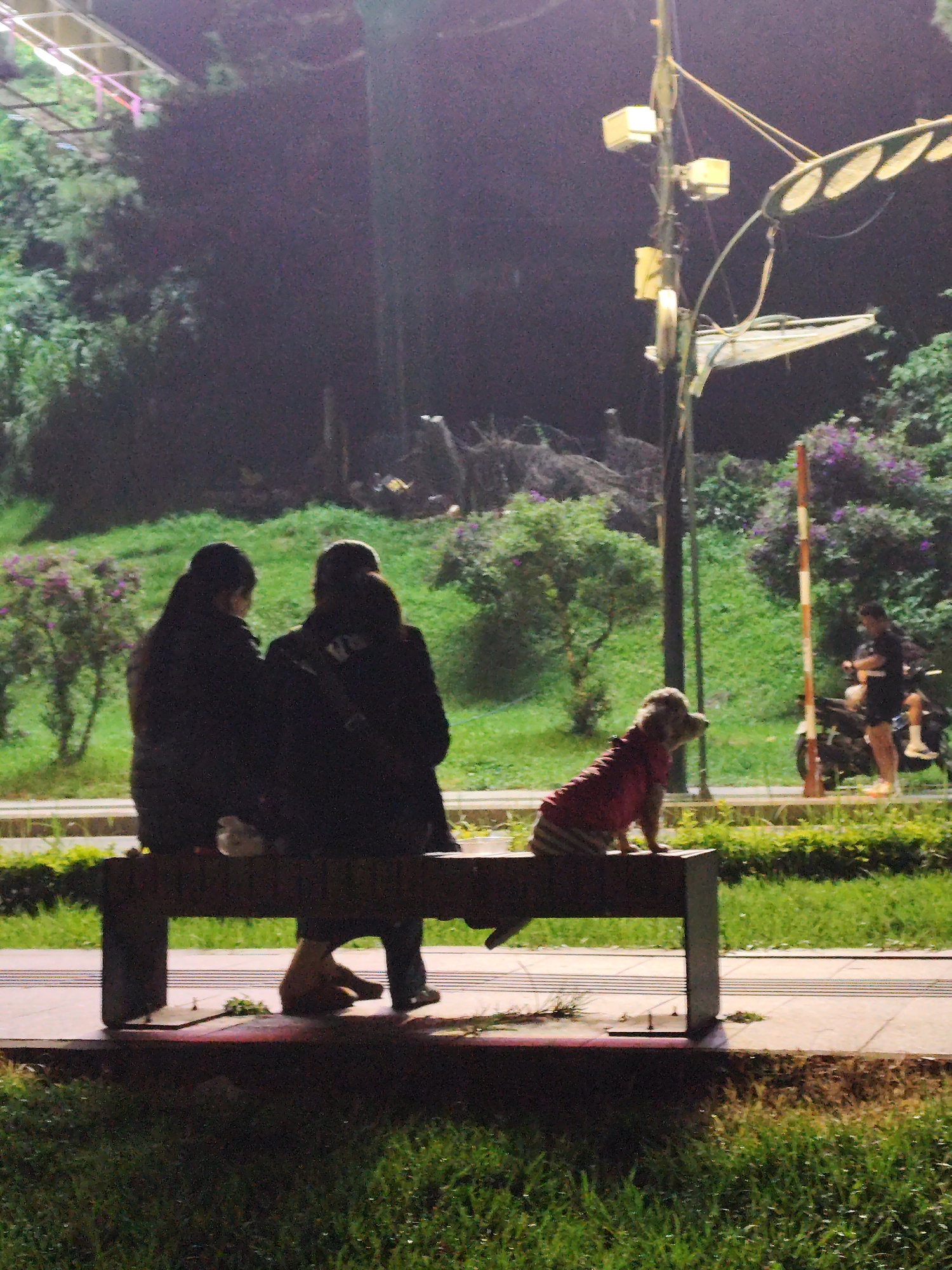 Two people are sitting on a bench at night. A dog wearing a red and white striped vest is sitting on the bench to the right of them. A person is standing near a parked motorcycle in the background. The scene is in Da Lat, Vietnam. There are trees and bushes in the background, and a lamppost is to the right of the bench. The foreground is a grassy area.