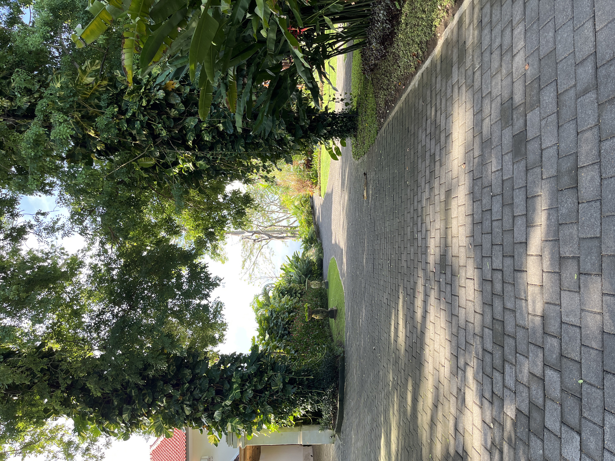 The image depicts a paved brick pathway in Kuta Selatan, Indonesia, bordered by lush tropical vegetation. The pathway stretches into the distance, framed by trees heavily laden with vines and foliage on both sides, creating a shaded tunnel effect. The pavement is grey and rectangular bricks. The tropical foliage consists of a variety of plants, including banana trees, vines, and shrubbery. The pathway is shaded by the trees, with intermittent patches of sunlight filtering through the leaves. In the distance, the pathway opens to a brighter area with more sunlight and a glimpse of the sky. A building with a red tiled roof is partially visible in the lower left corner of the image. There are no people visible in the scene.