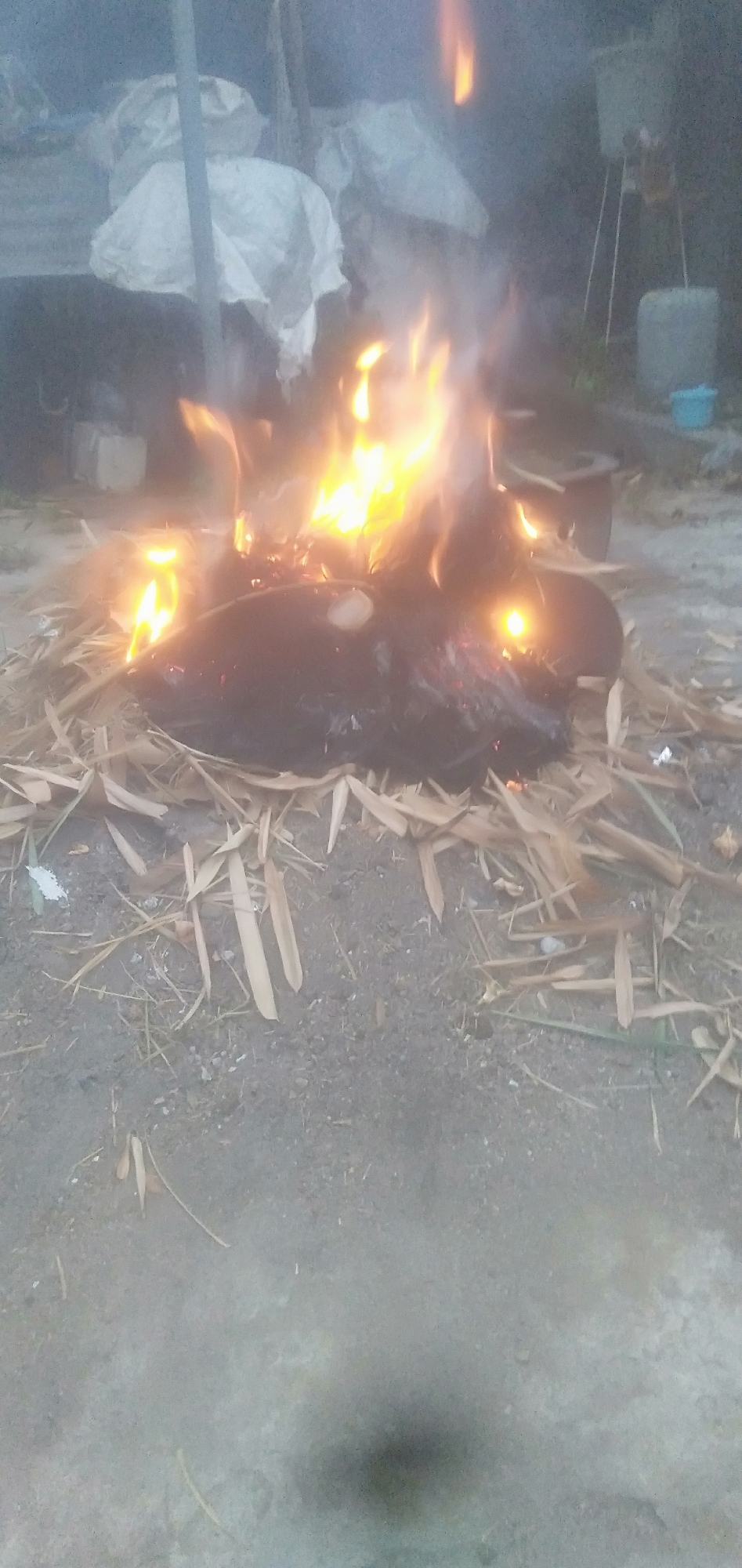An outdoor scene captures a fire in progress, likely in Plemahan, Indonesia. The fire is centered on the ground, surrounded by dry, straw-like material and what appear to be fallen leaves. Flames engulf a dark, amorphous object at the center of the fire. In the background, a large white tarp is draped over some unseen structure, with poles supporting it. To the right of the fire, a tall, tripod-like stand supports a container, and a blue plastic bucket is visible nearby. The ground is covered in dirt and small stones. The overall lighting suggests it is either dawn, dusk, or an overcast day.
